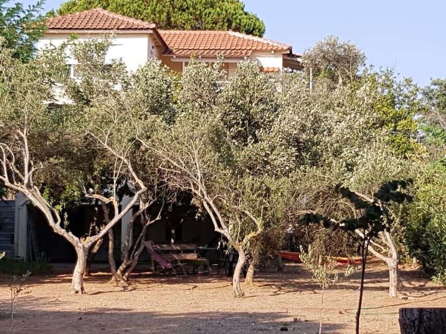 Preveza - The house by the sea view 3