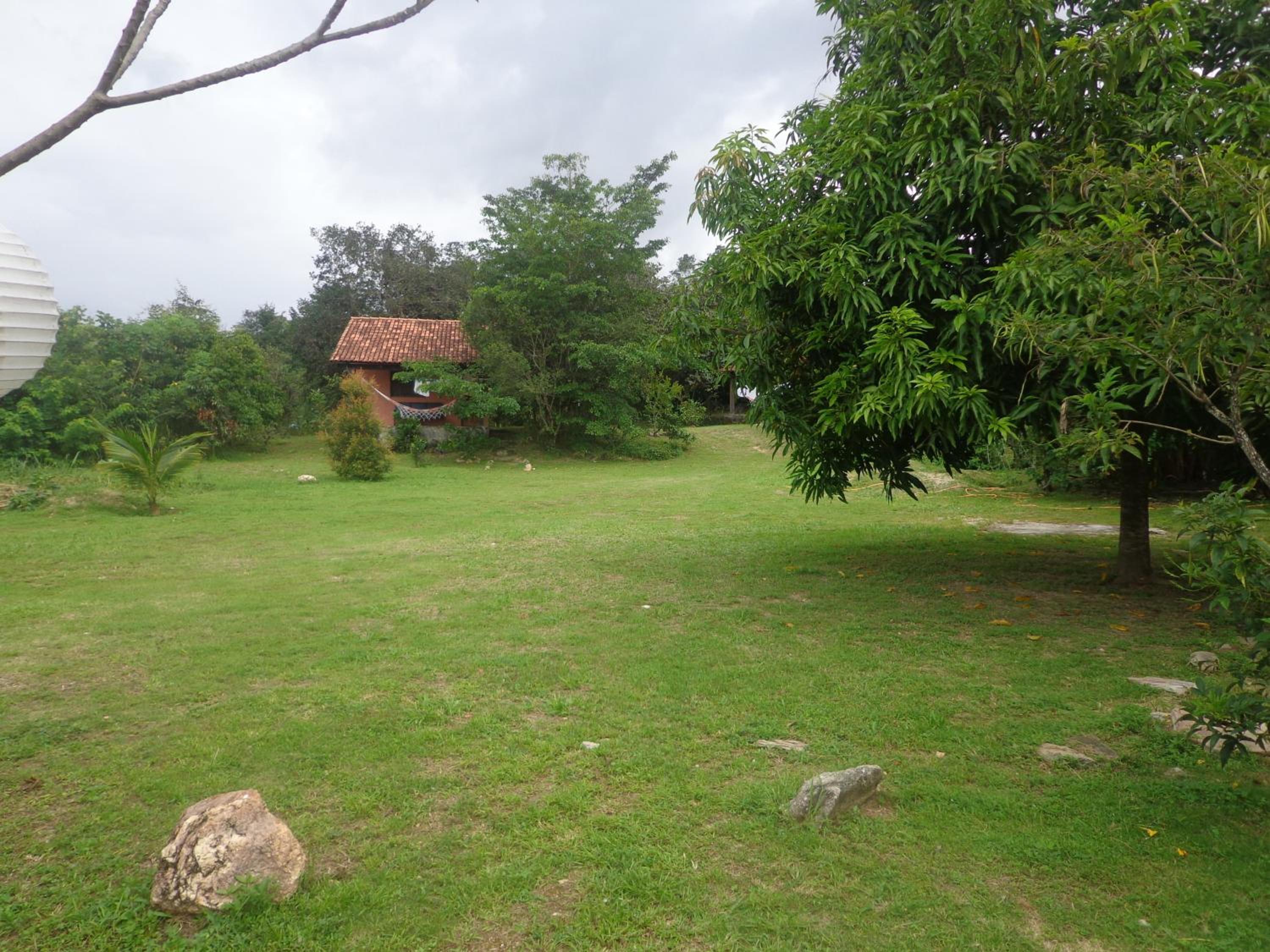 Photo 21