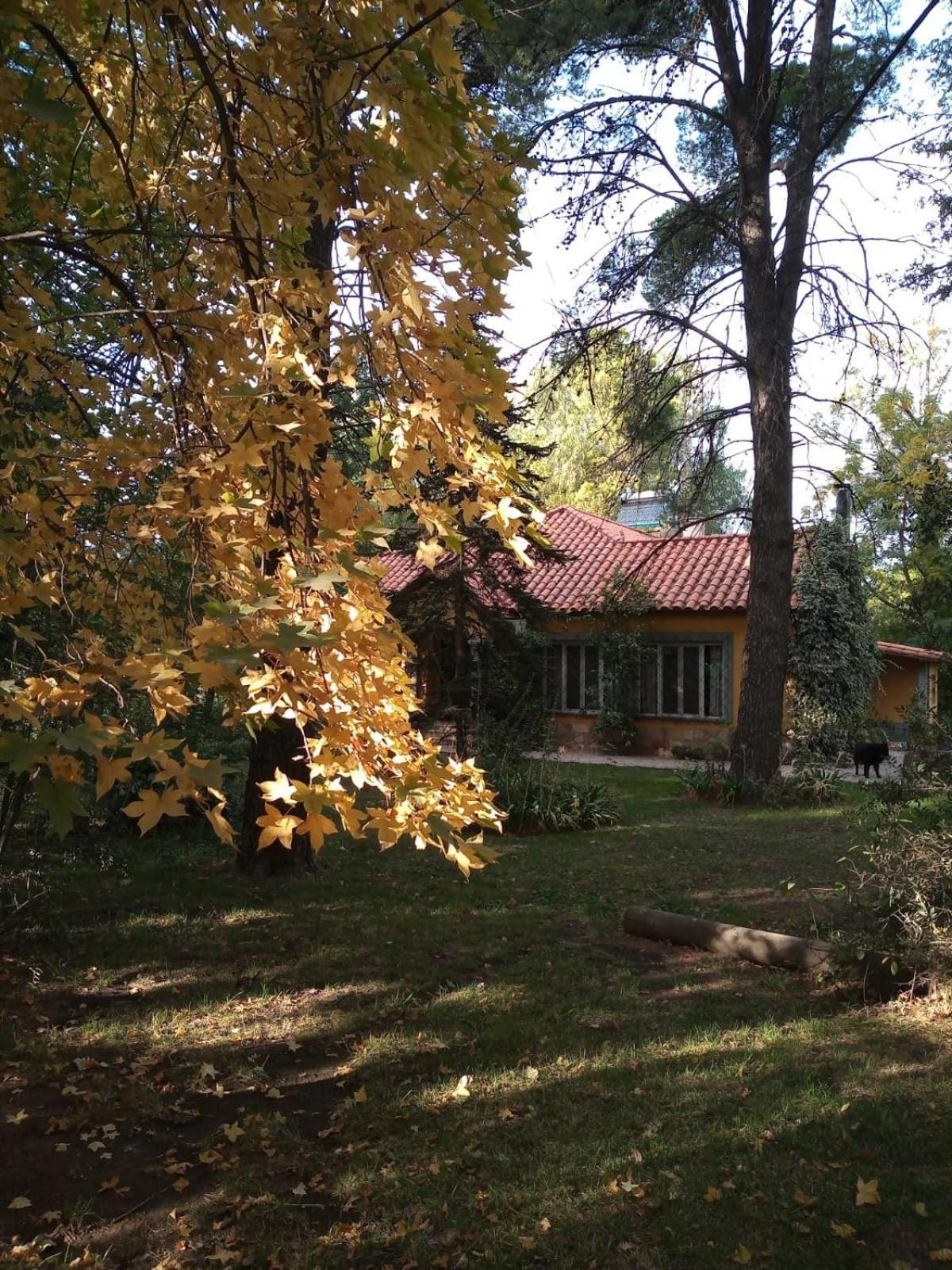 Escapada Exclusiva en Finca con Viñedos y Olivares Relájate en la Naturaleza con Confort y Encanto
