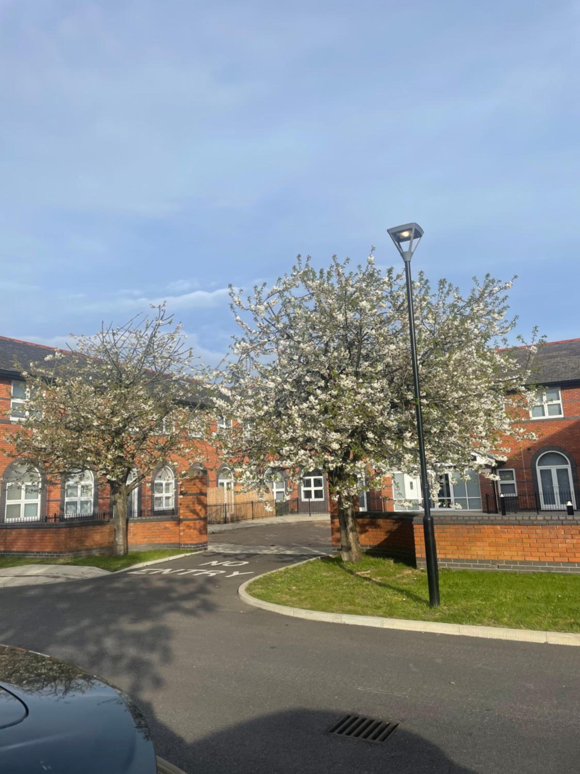 Charming Modern Apartment near London Heathrow view 5