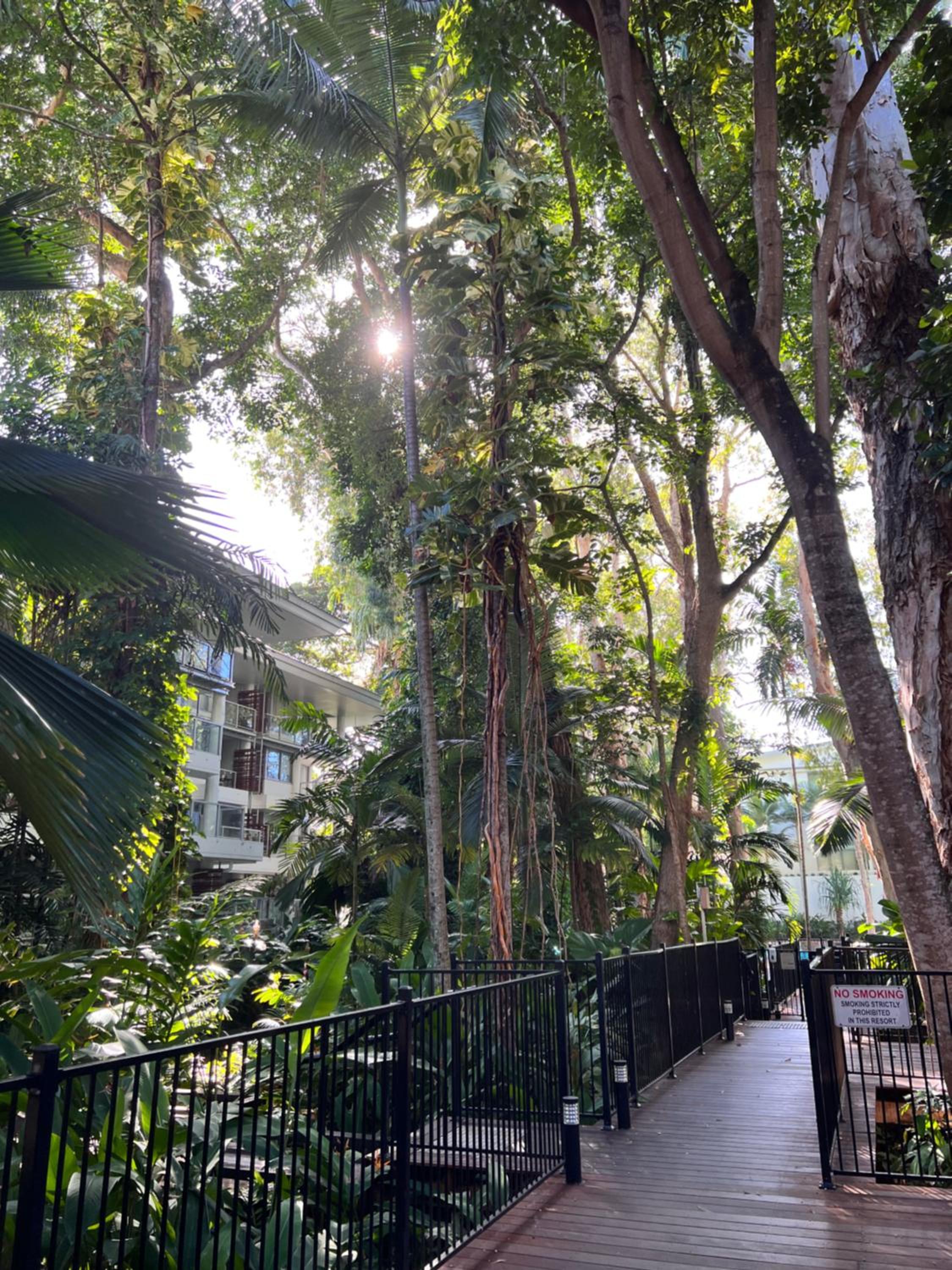 Tropical paradise