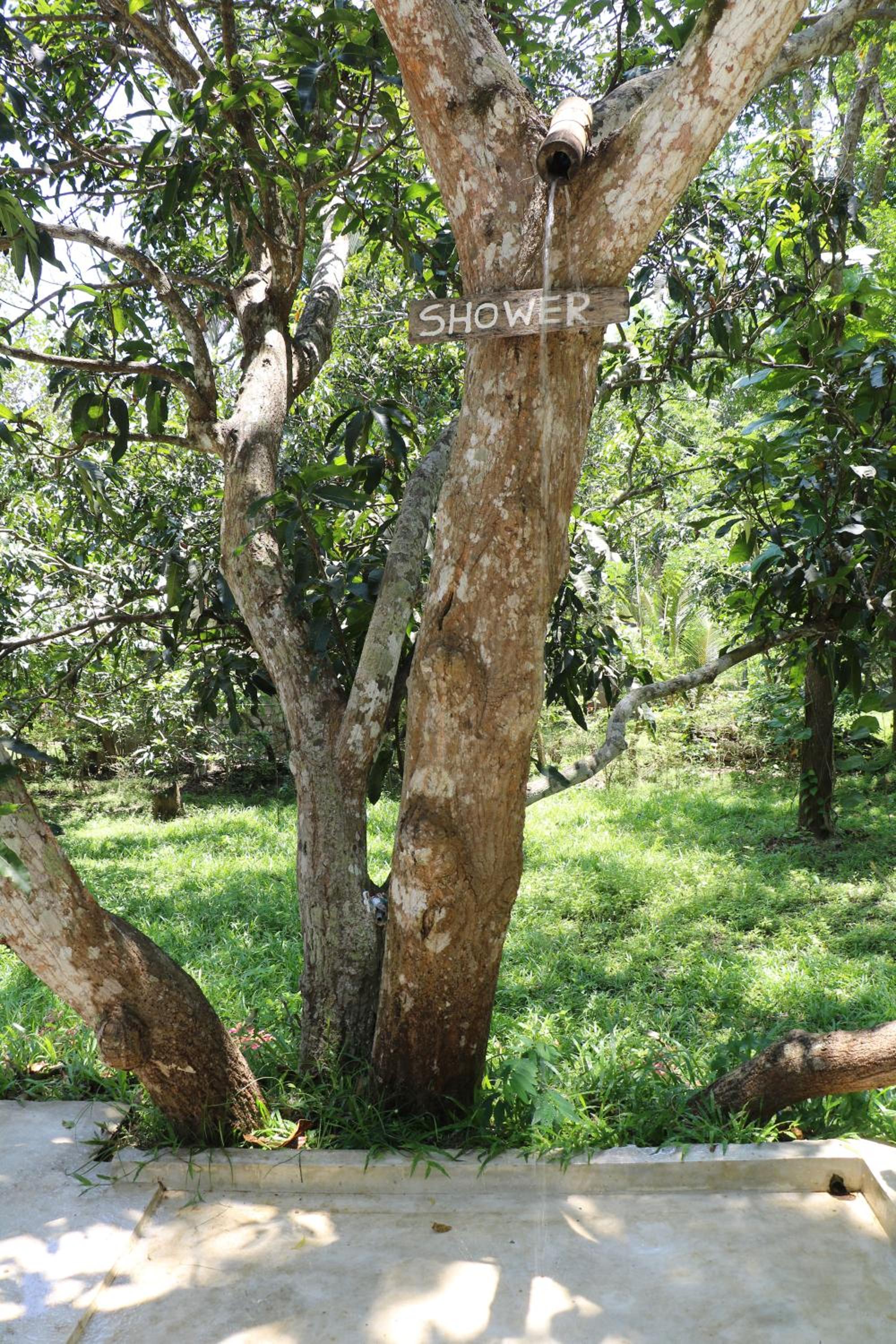 Photo 42