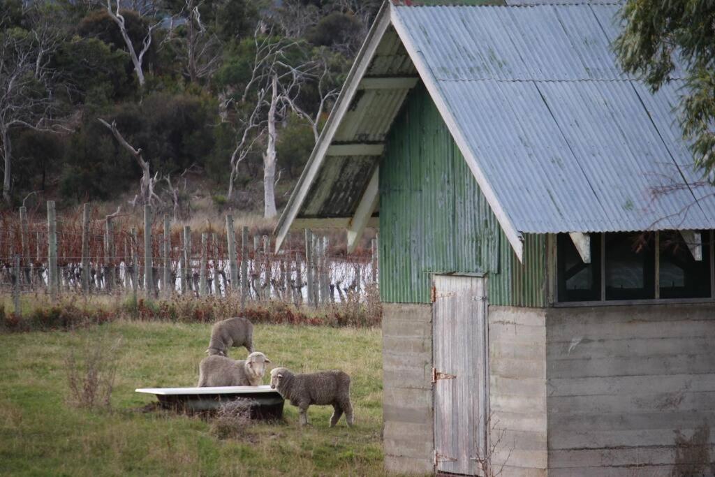 The Blacksmith's Cottage at Lisdillon Vineyard