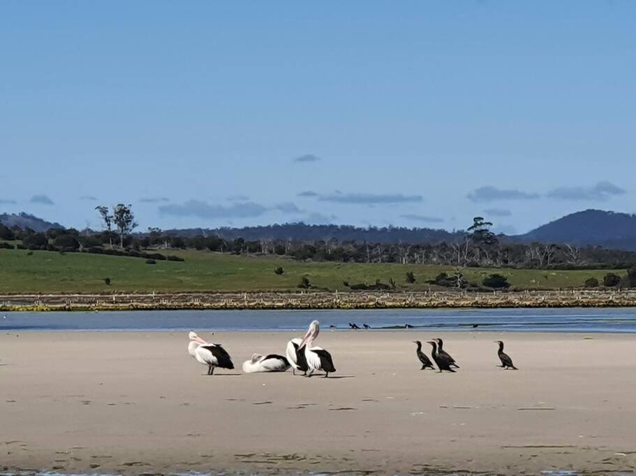Heritage Coach House - Lisdillon - Waterfront