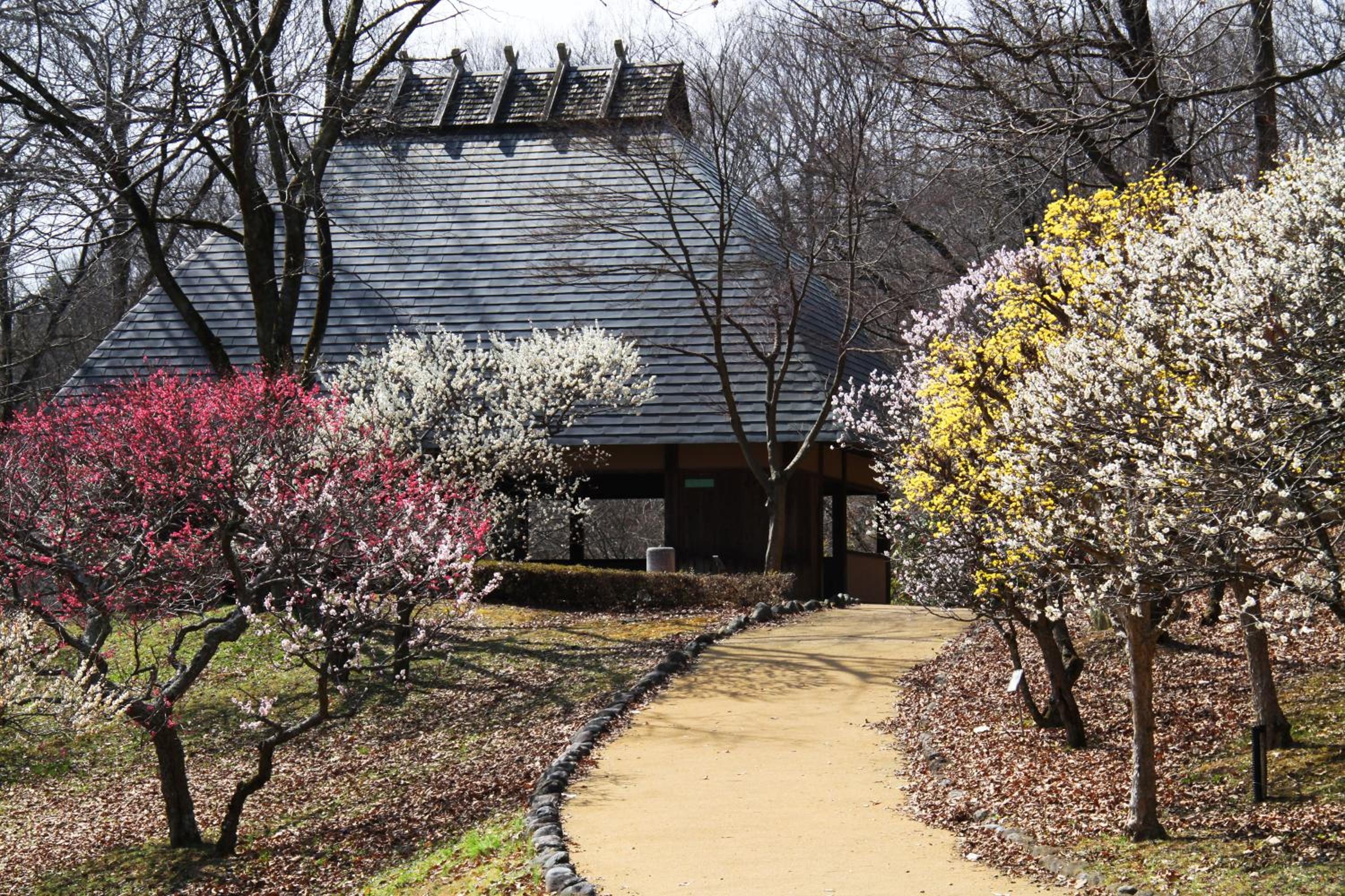 Photo 47