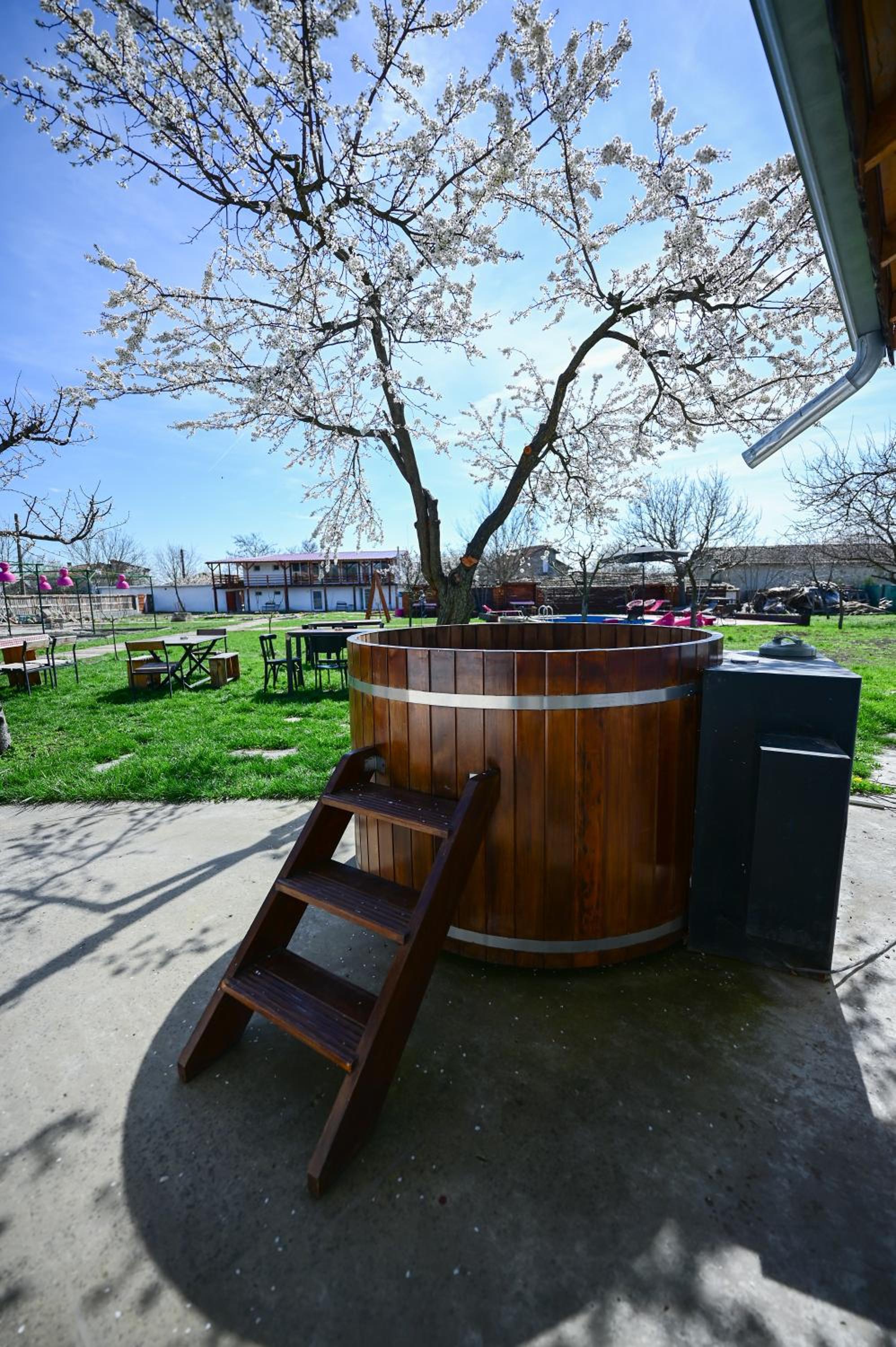 Guest house BULGARKA