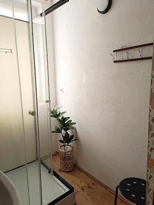 Lounge-Style-Hostel