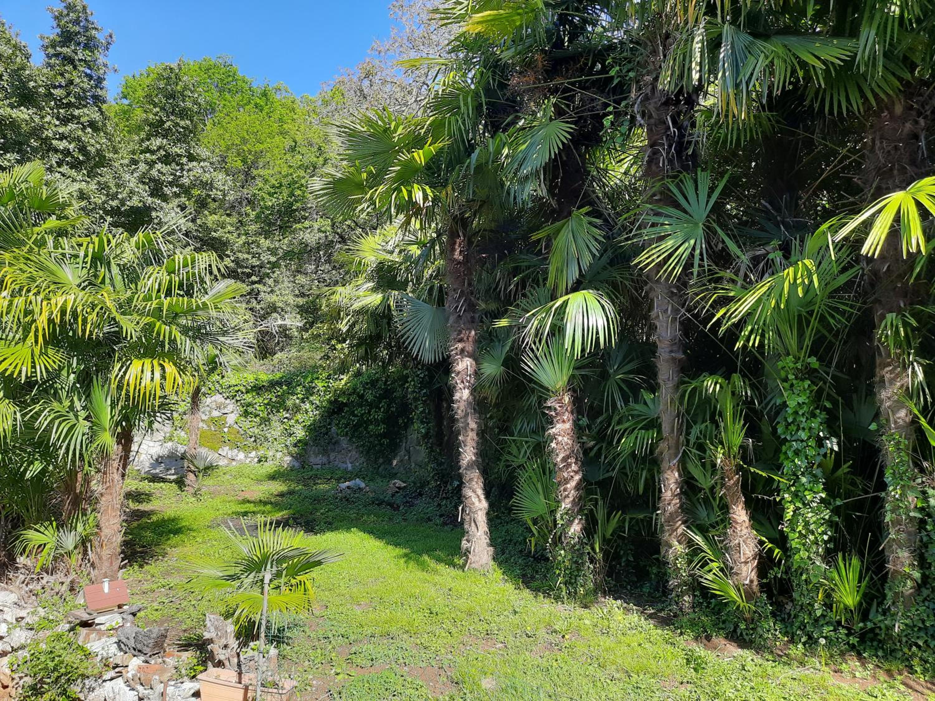 Apartments Anagora I