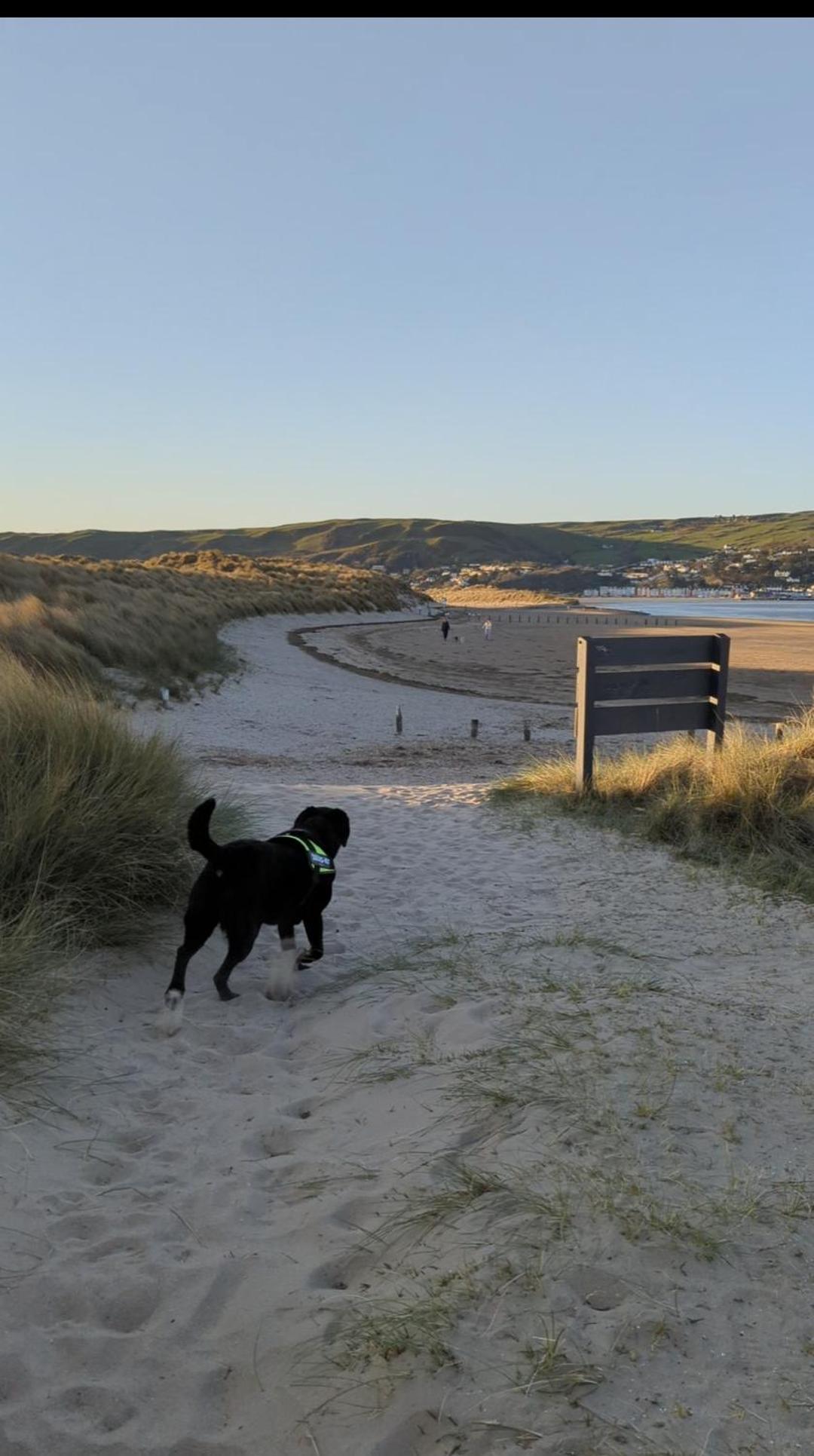 Peacehaven, Ynyslas, Borth