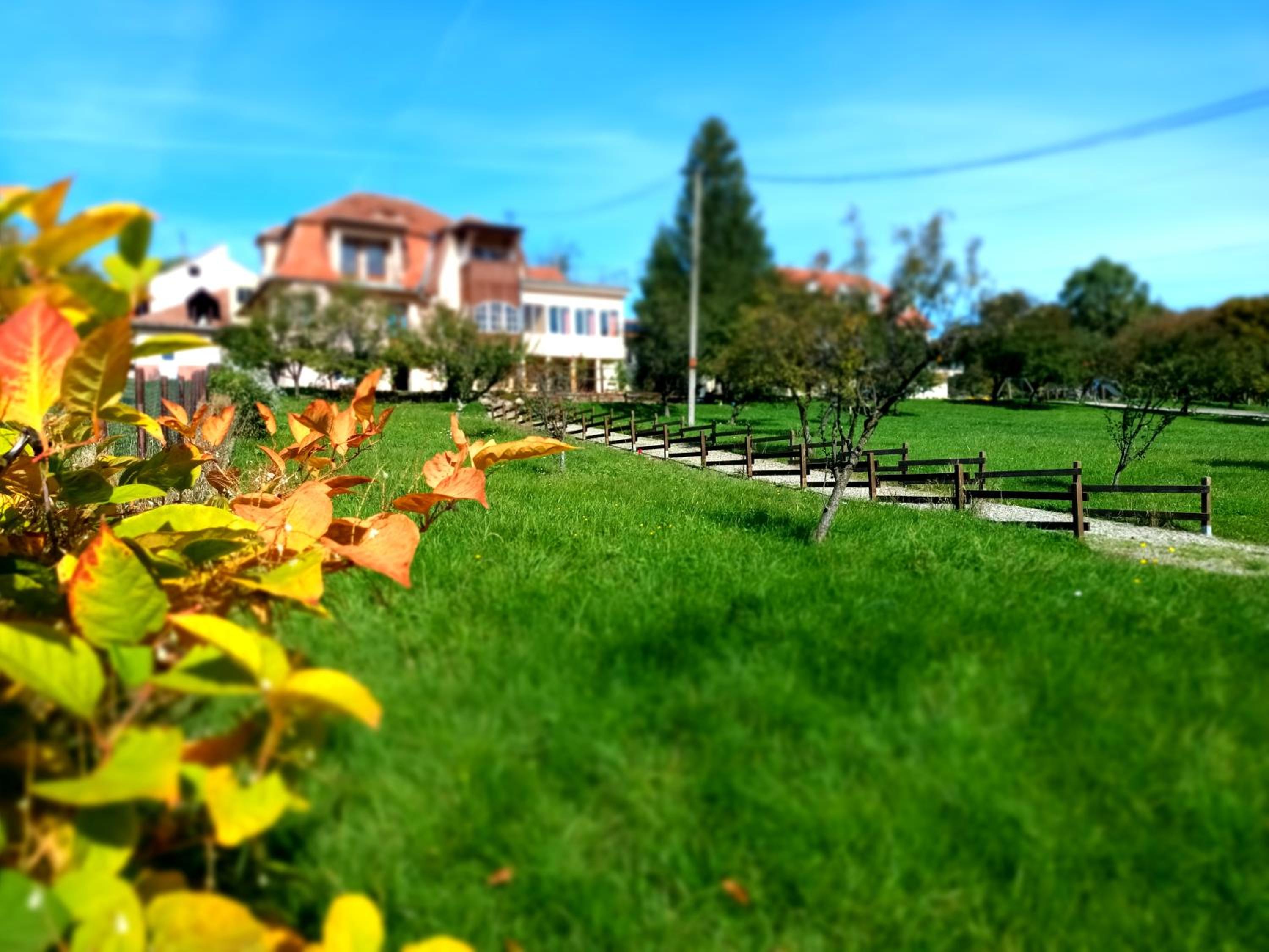 Elimheim