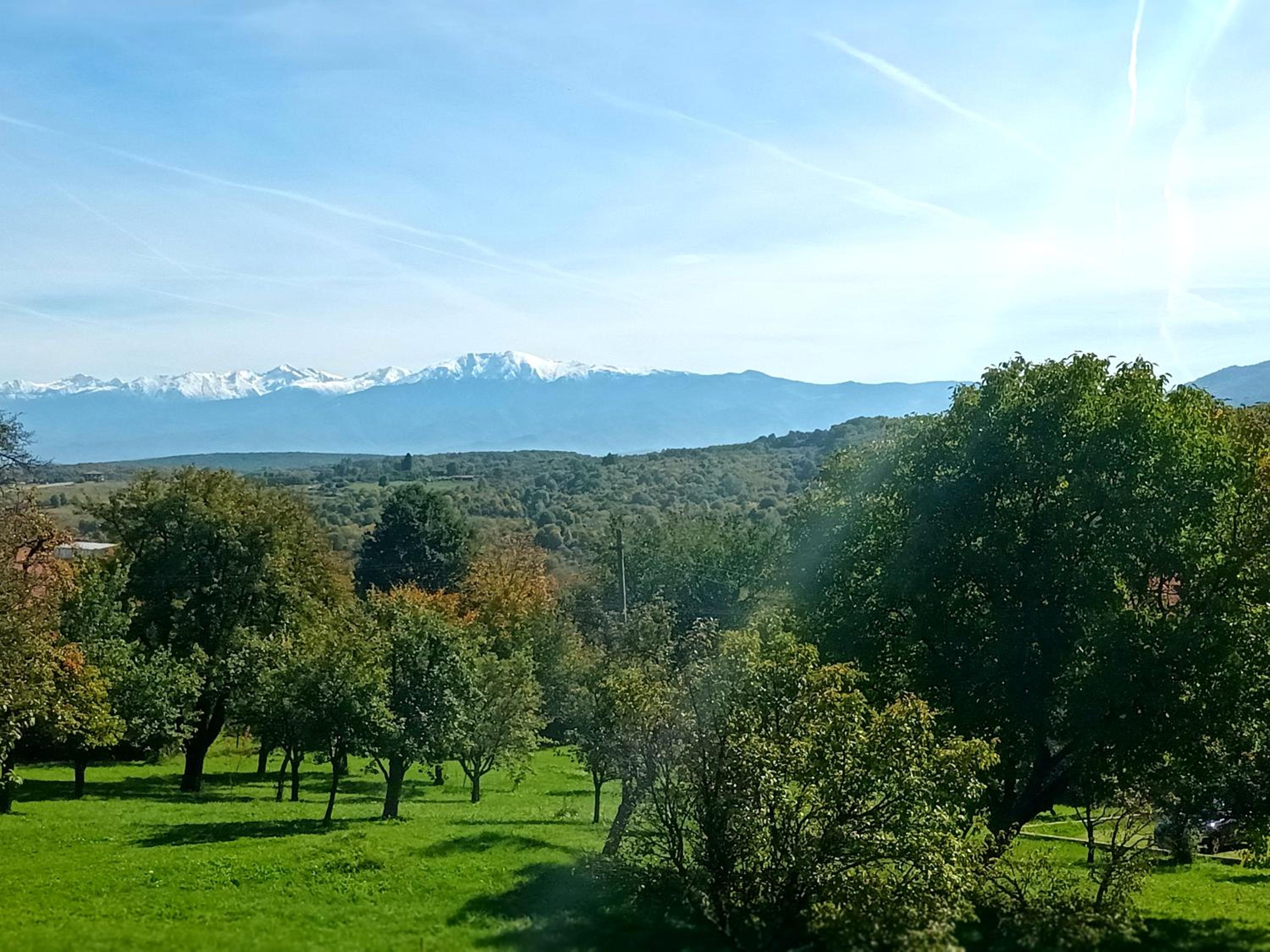 Elimheim