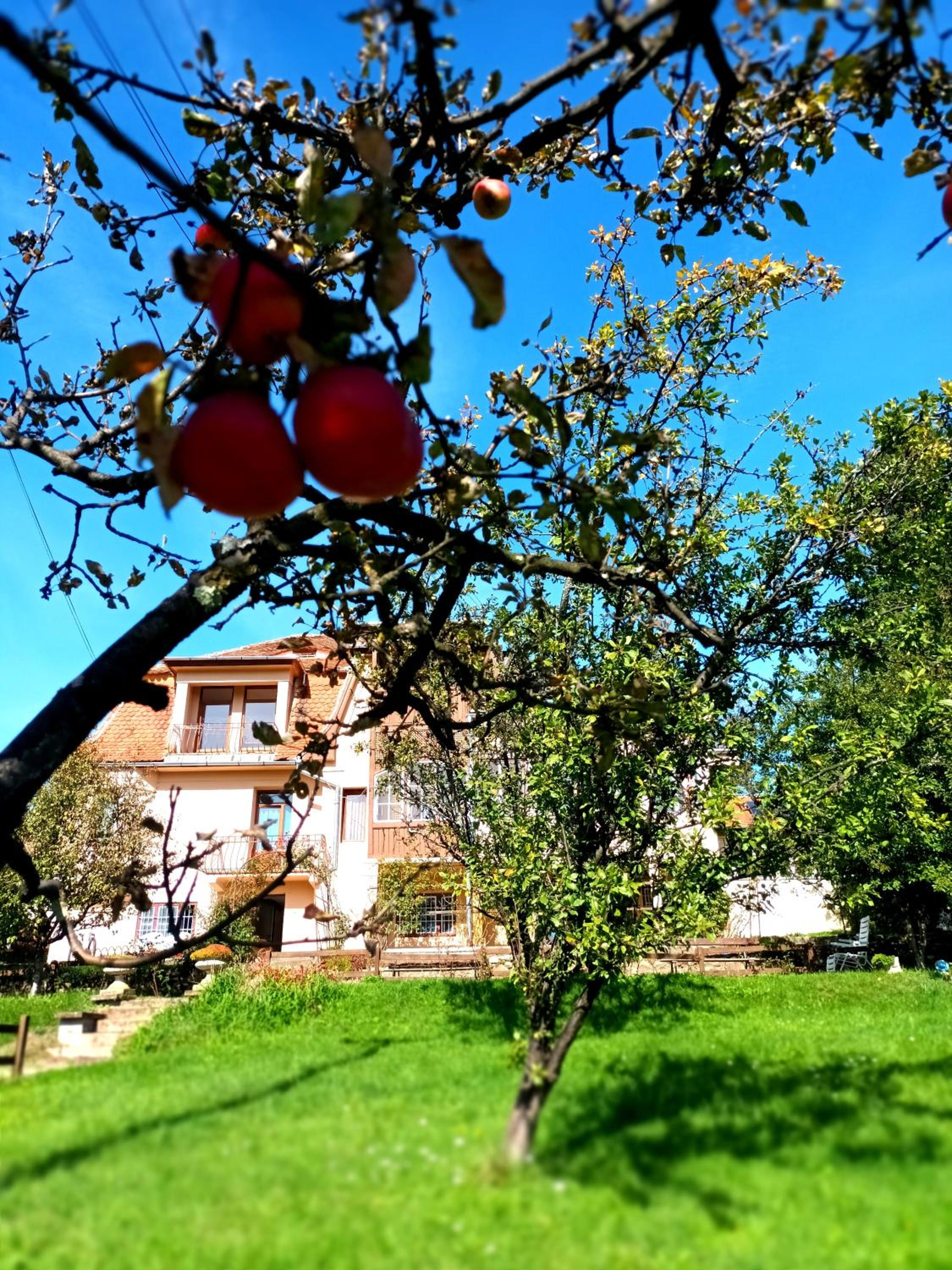 Elimheim