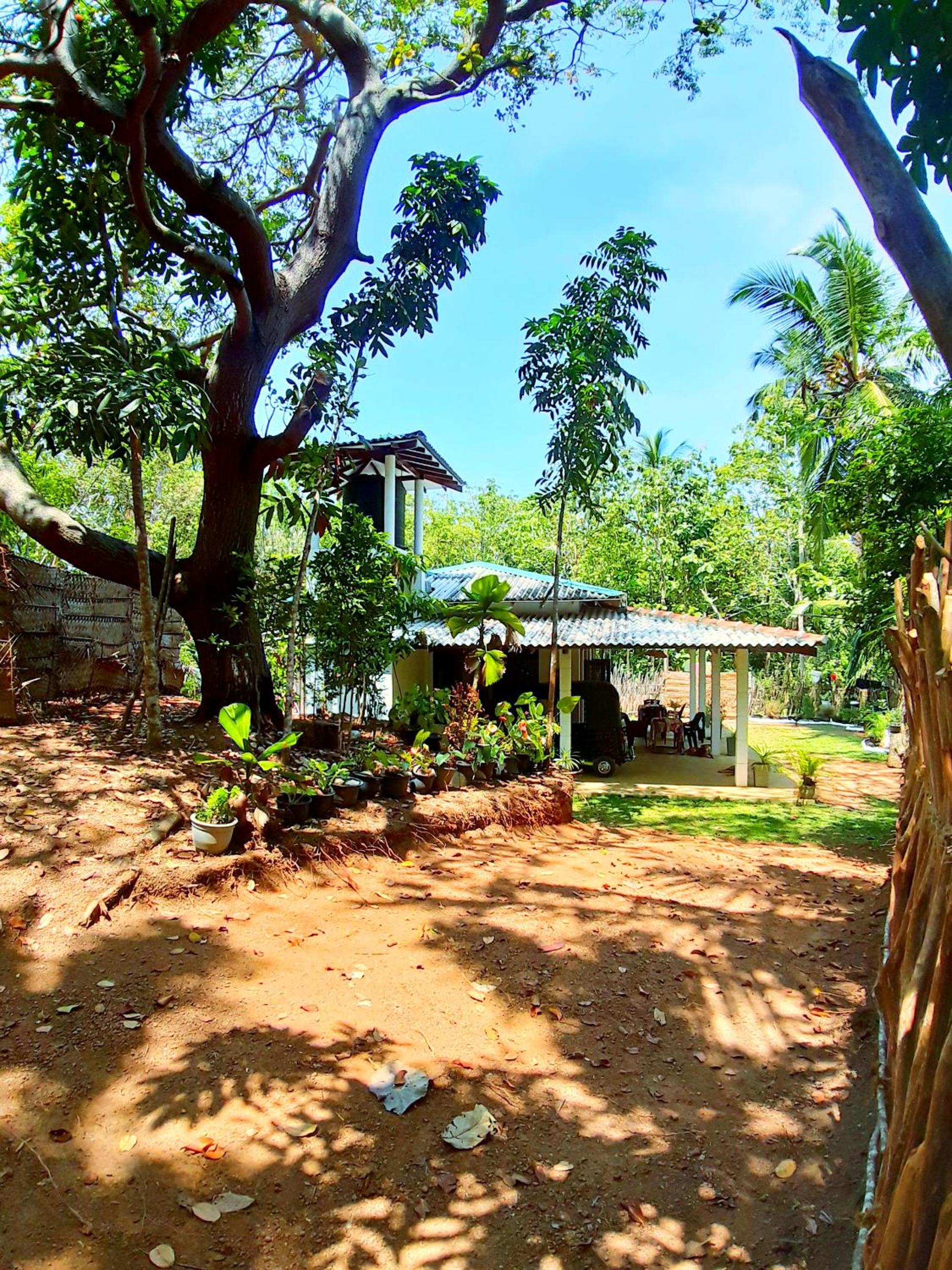 Cashew Villa Hiriketiya view 2