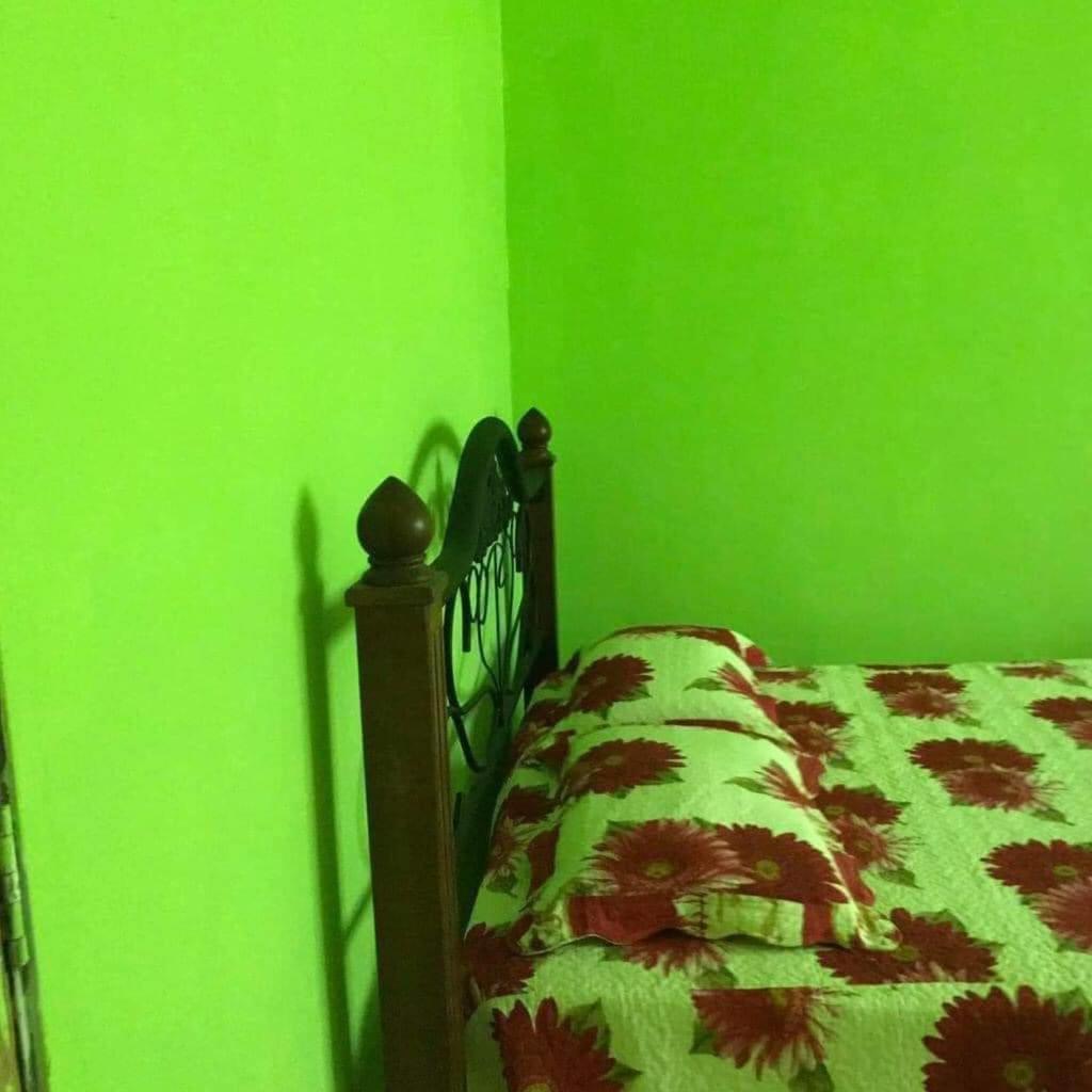Hijau Homestay photo 8