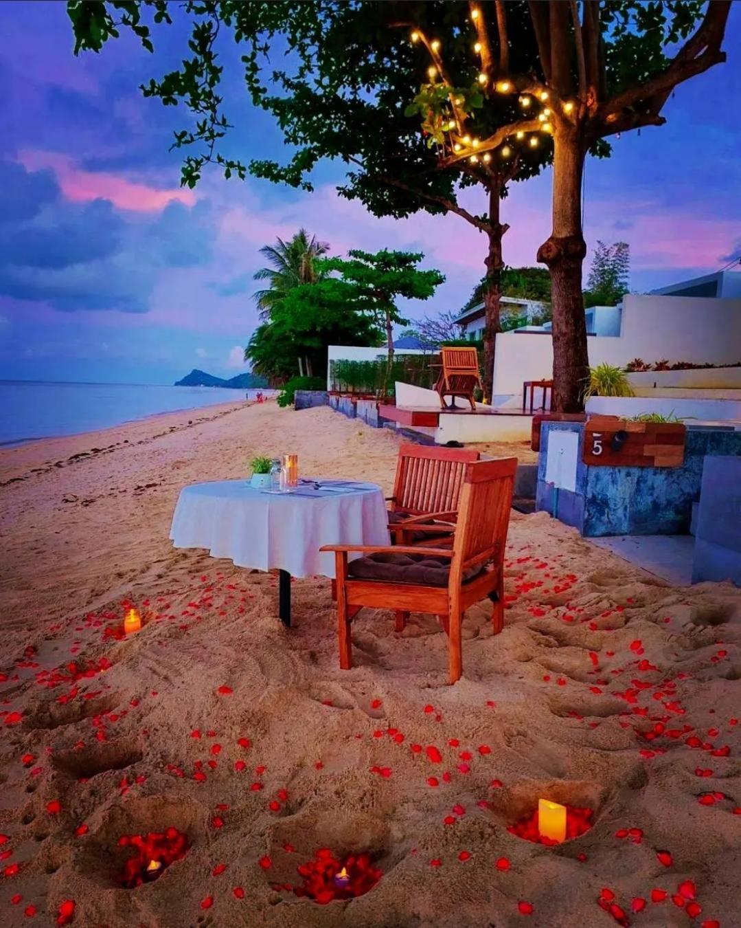 White Whale Beachfront Pool Villa