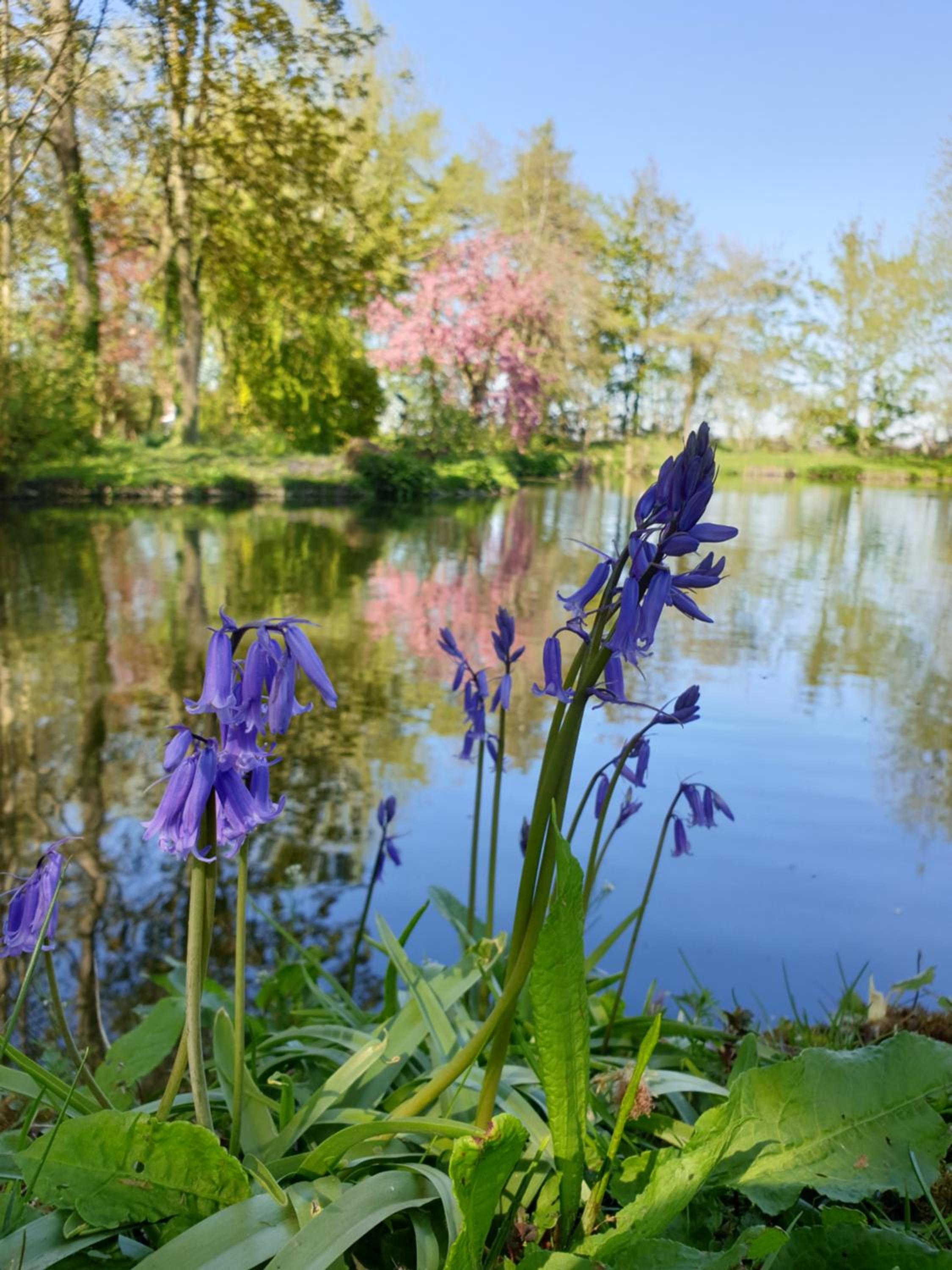 Langdale Lodge at Langdale Lakes, LINCOLN LN3 5BB