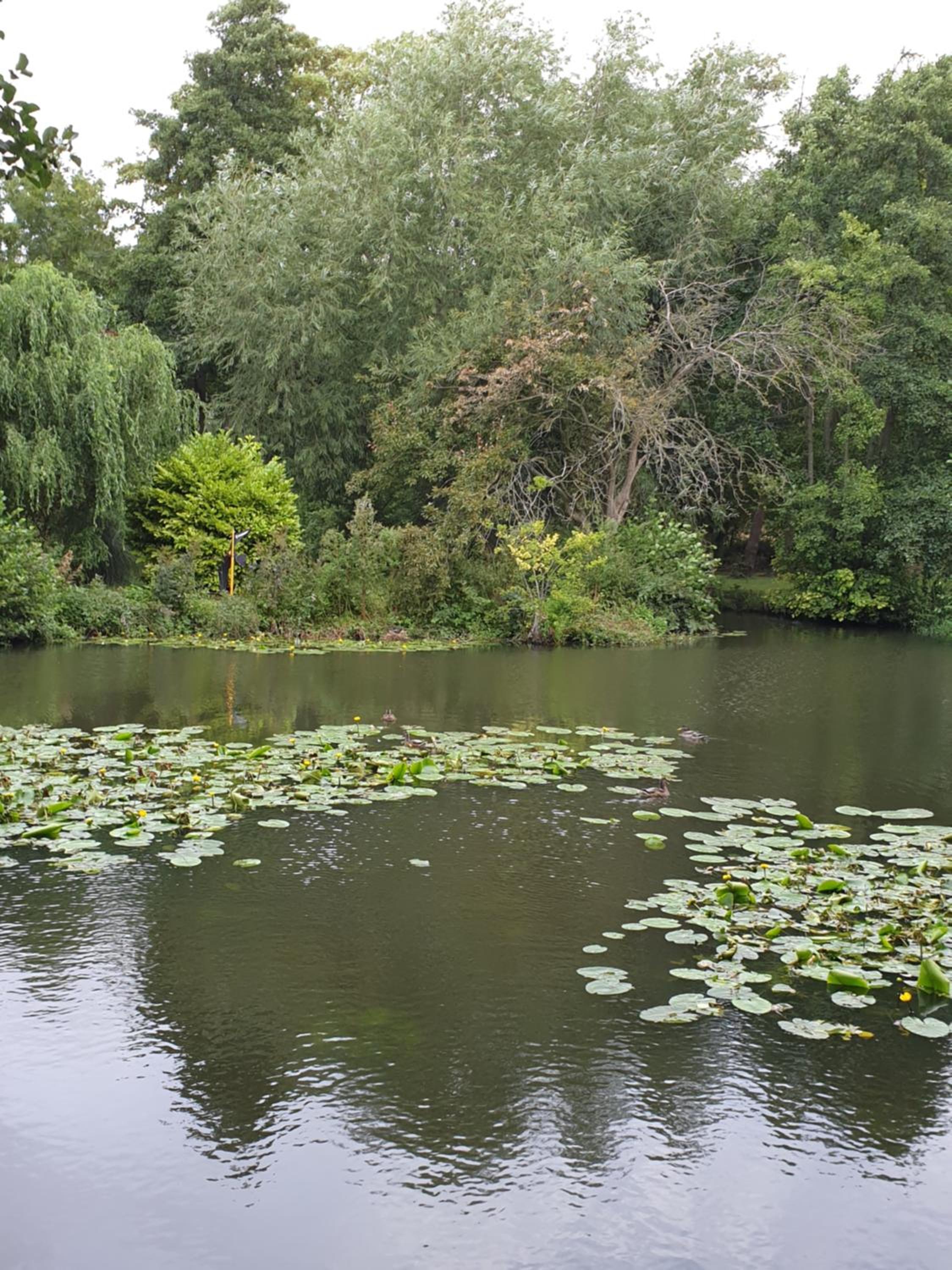 Langdale Lodge at Langdale Lakes, LINCOLN LN3 5BB