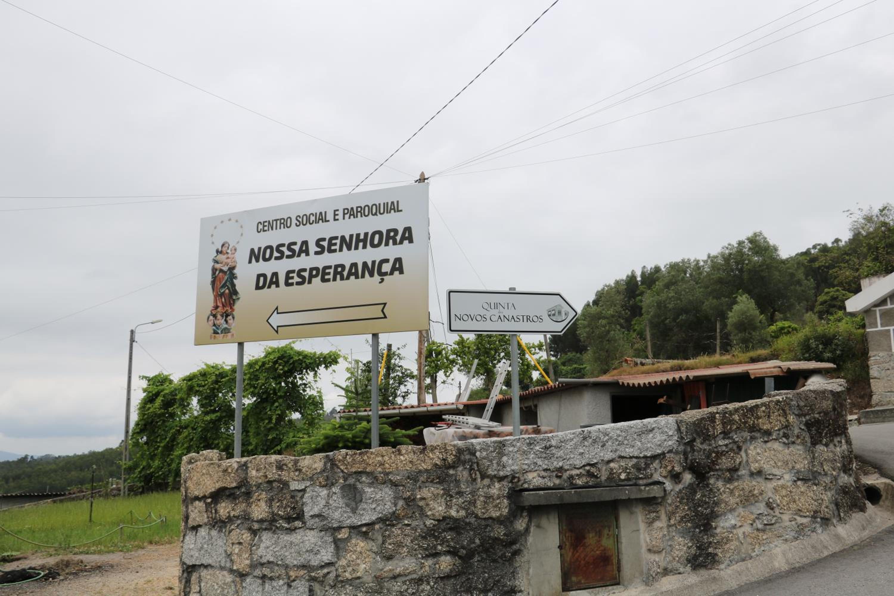 Canastro do Vidoeiro
