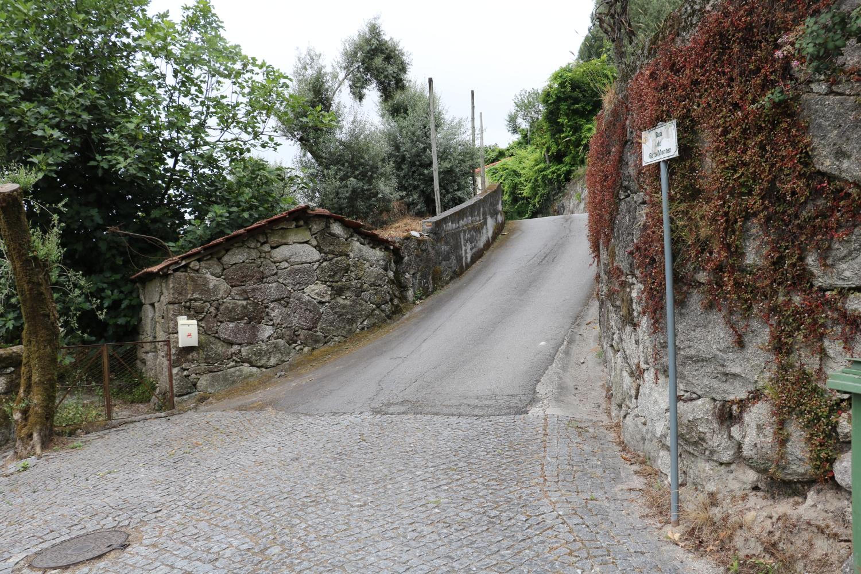 Canastro do Vidoeiro