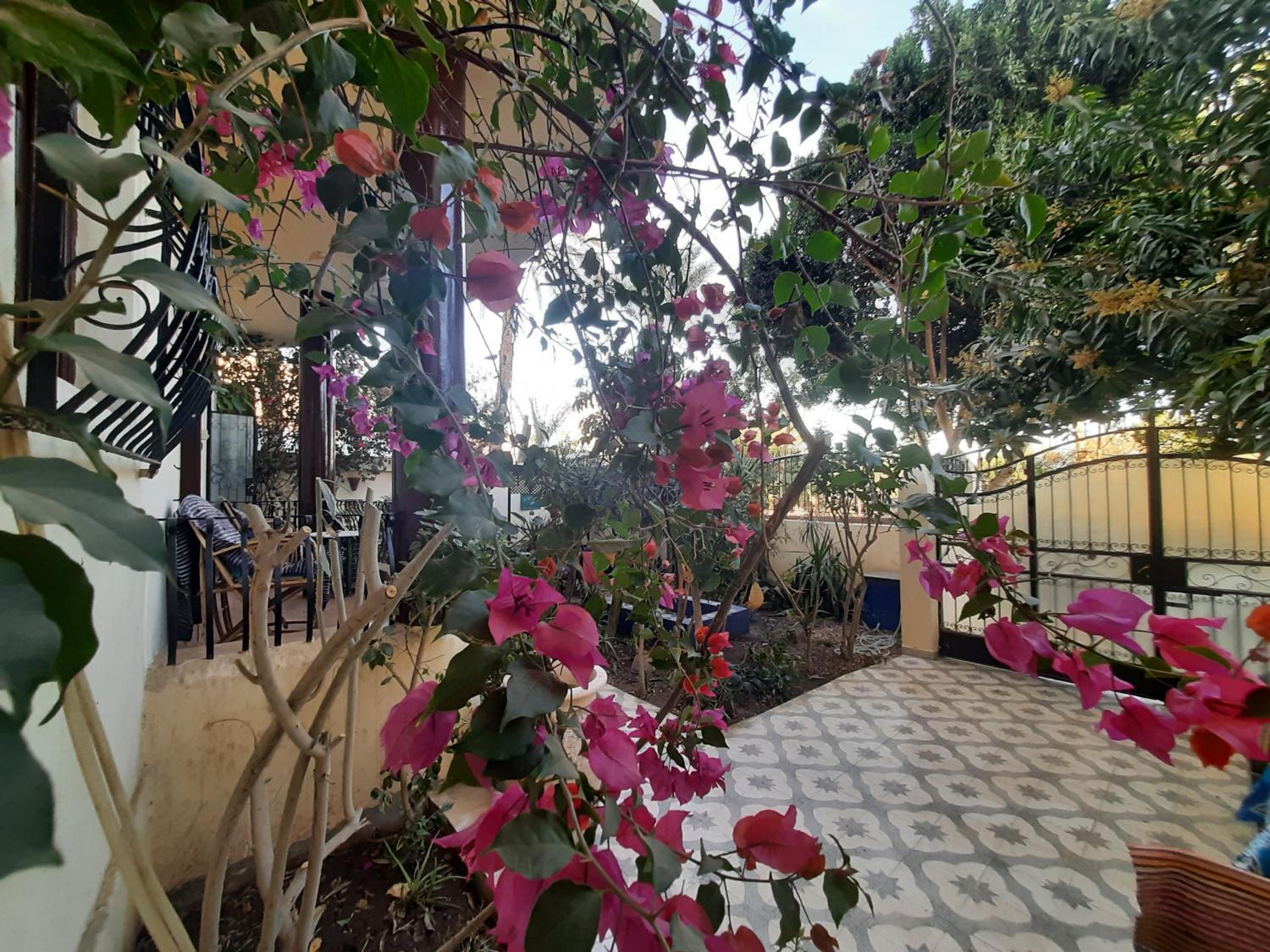 Villa Bahri Luxor Apartment