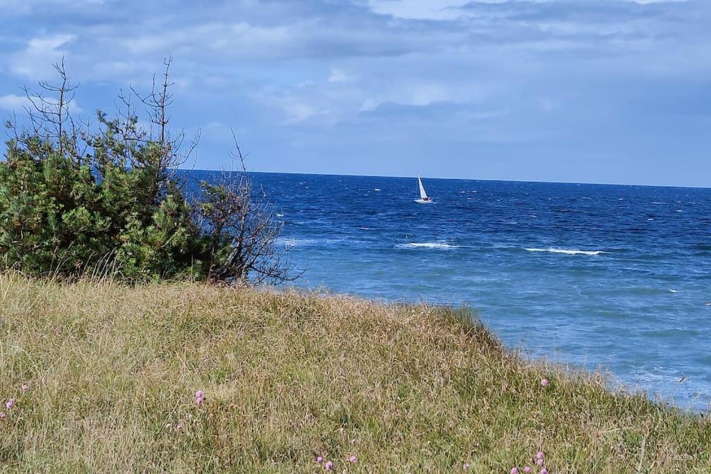 Strandläufer