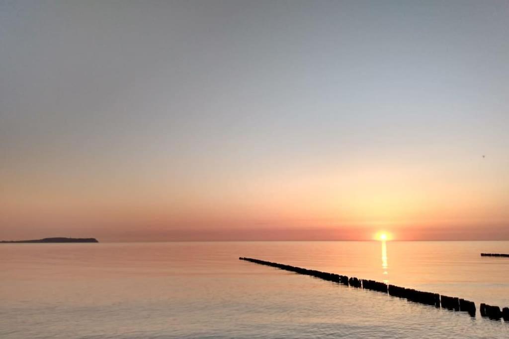 Strandläufer