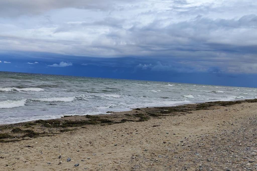 Strandläufer