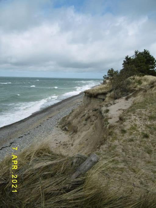 Strandläufer