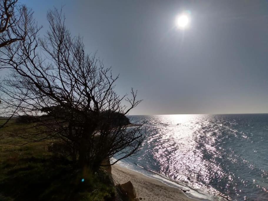 Strandläufer