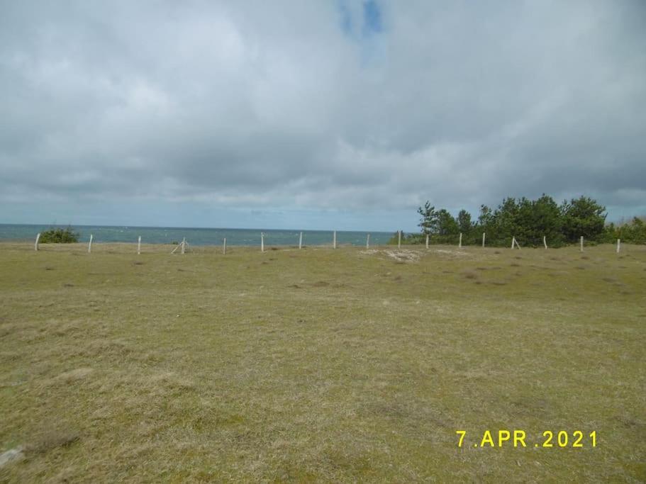 Strandläufer
