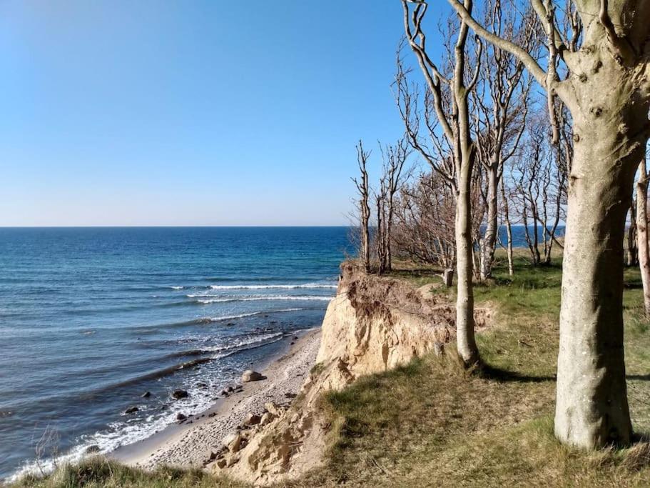 Strandläufer