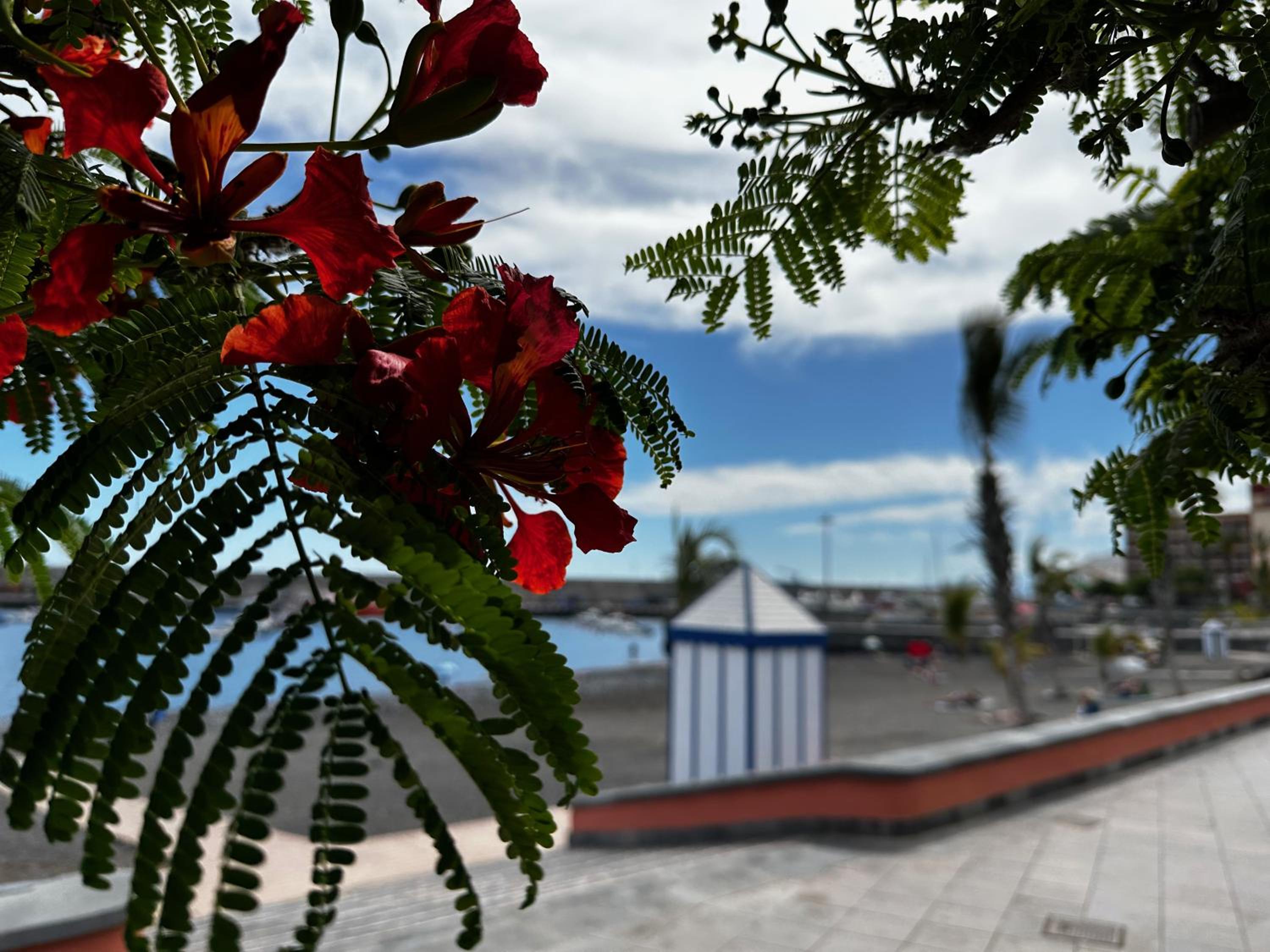 Hotel Magnificent and New apartment in Playa San Juan - Image 1