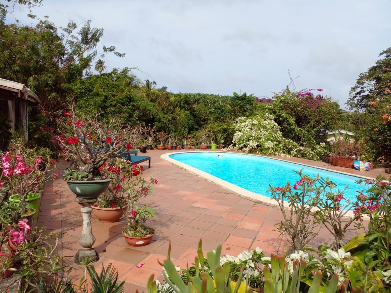 La Villa Belle view 5