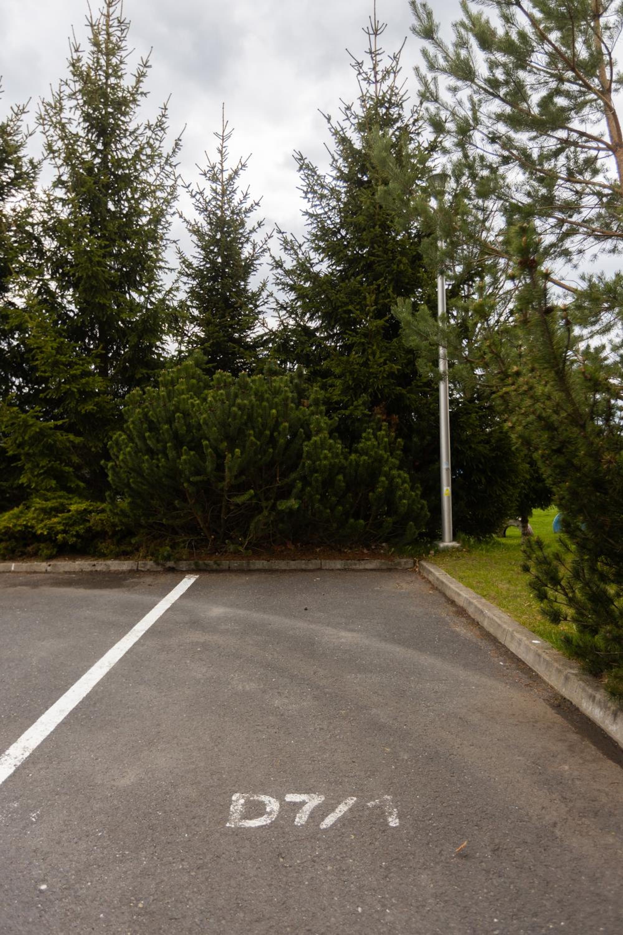 Photo 42