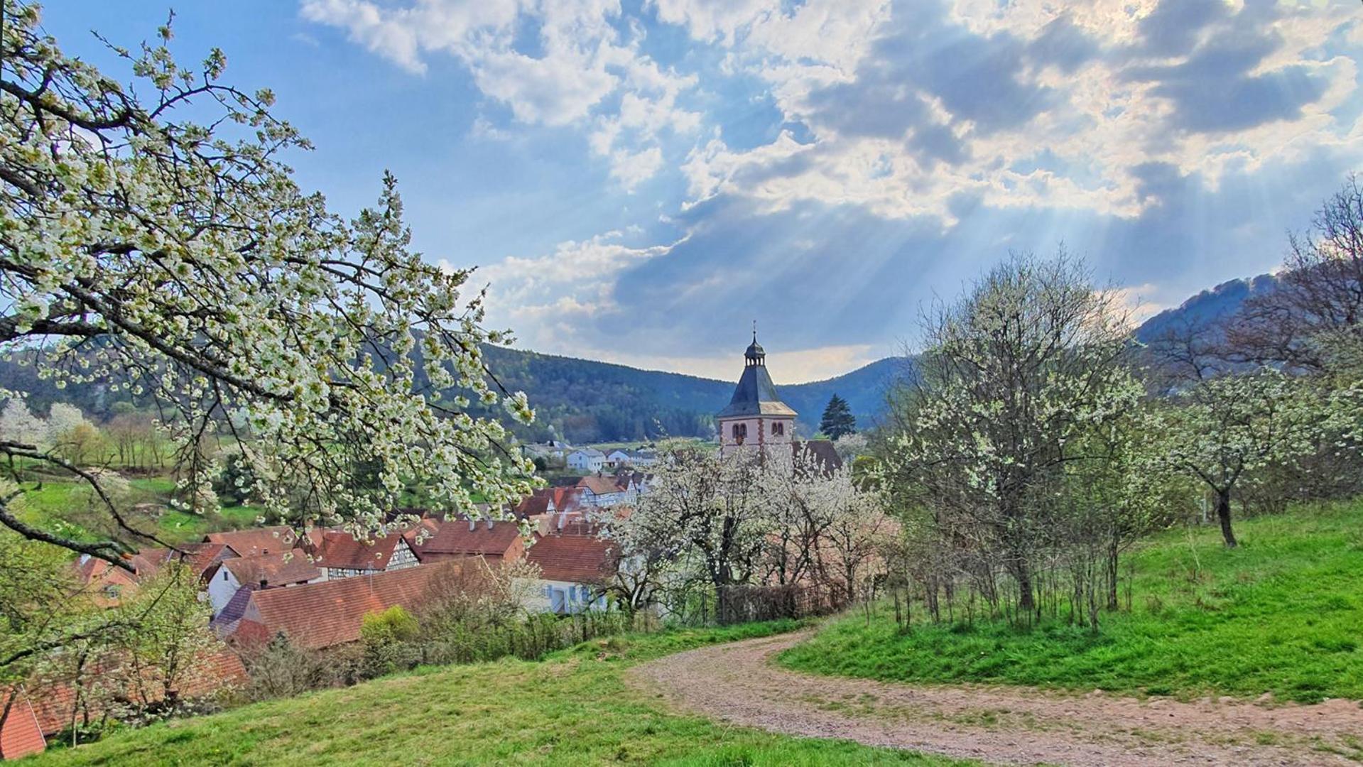 Landhaus Christina view 4