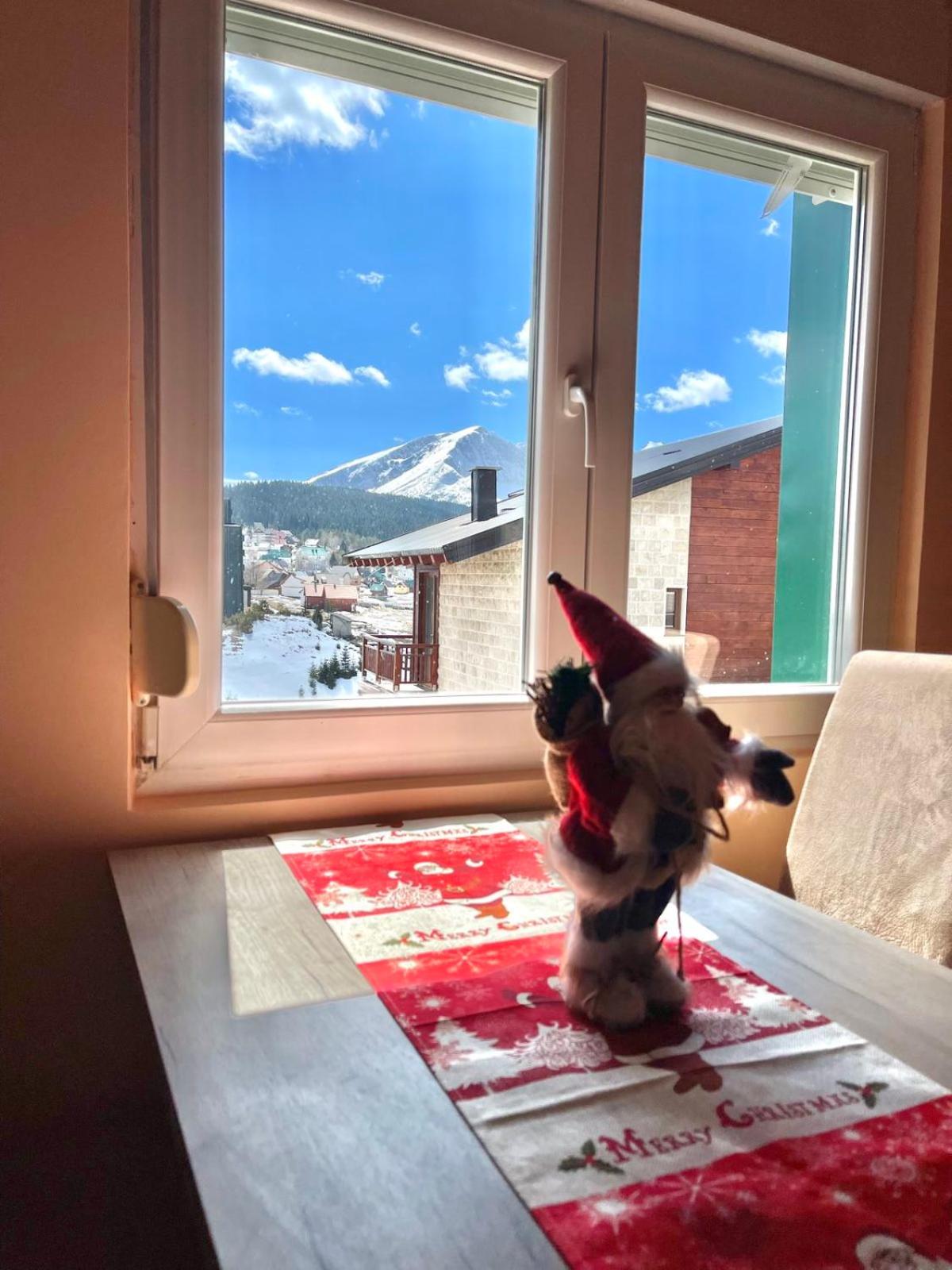 Family Two-bedroom apartment Zabljak view 3
