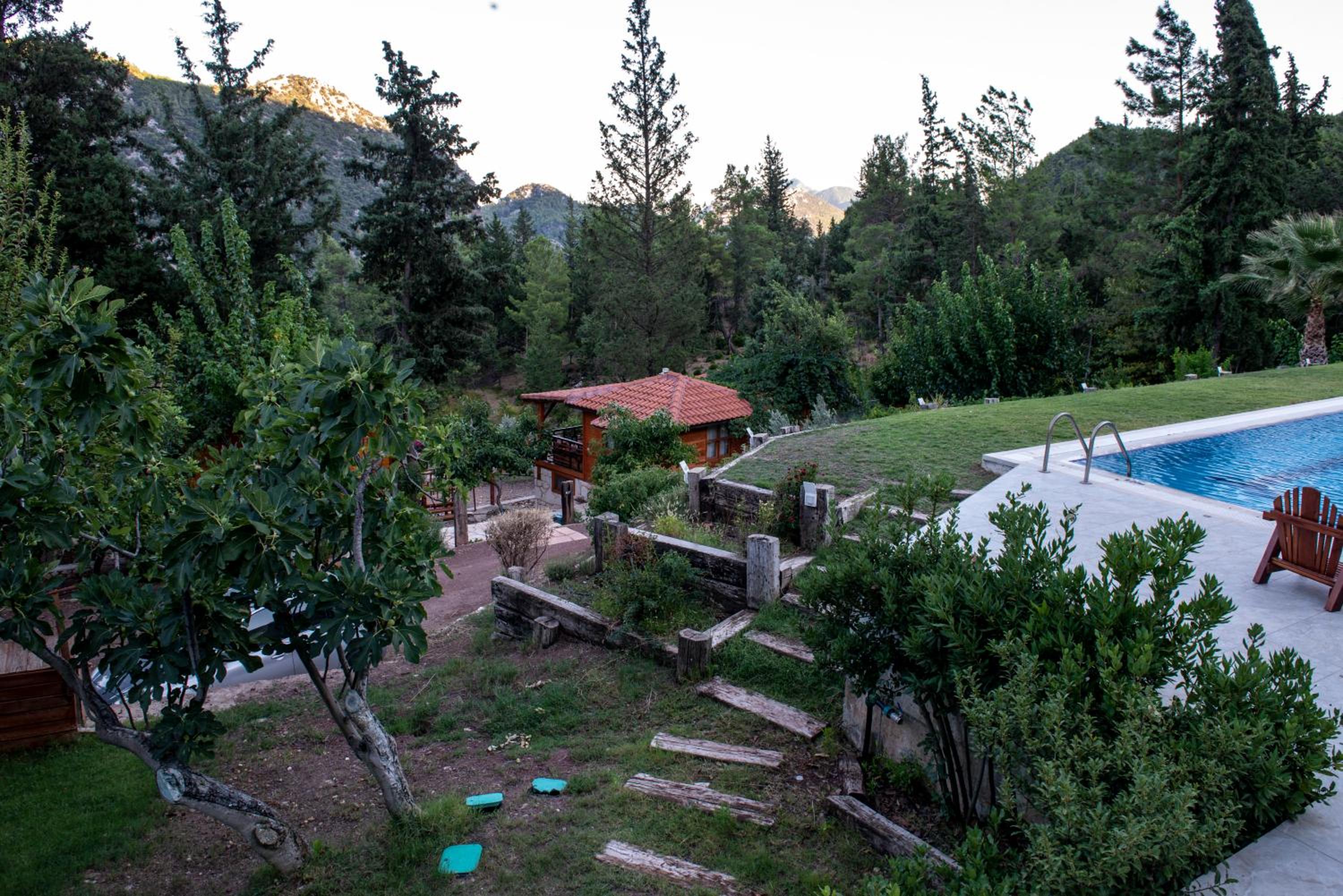 Photo 44