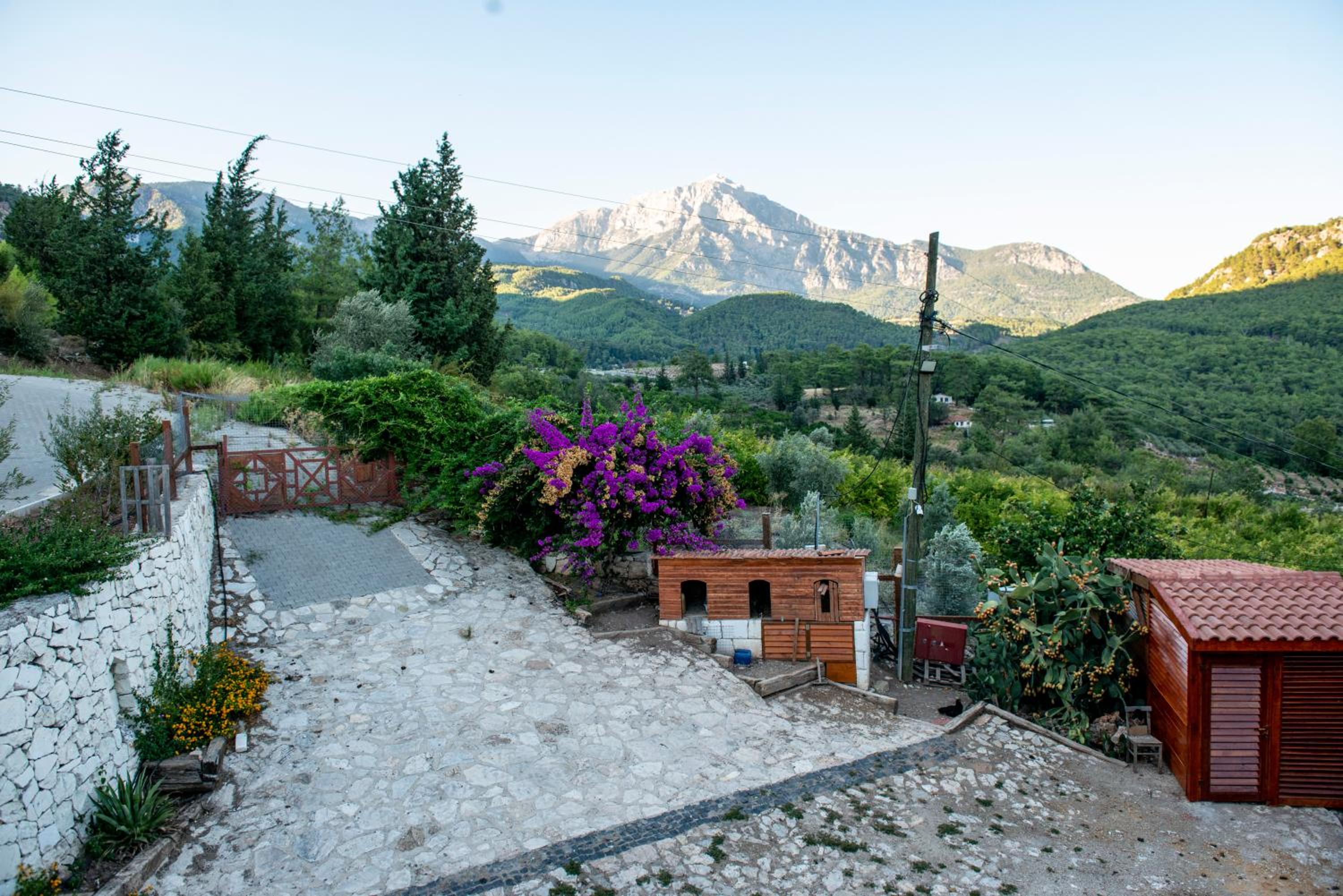 Trinitys Forest Bungalows view 2