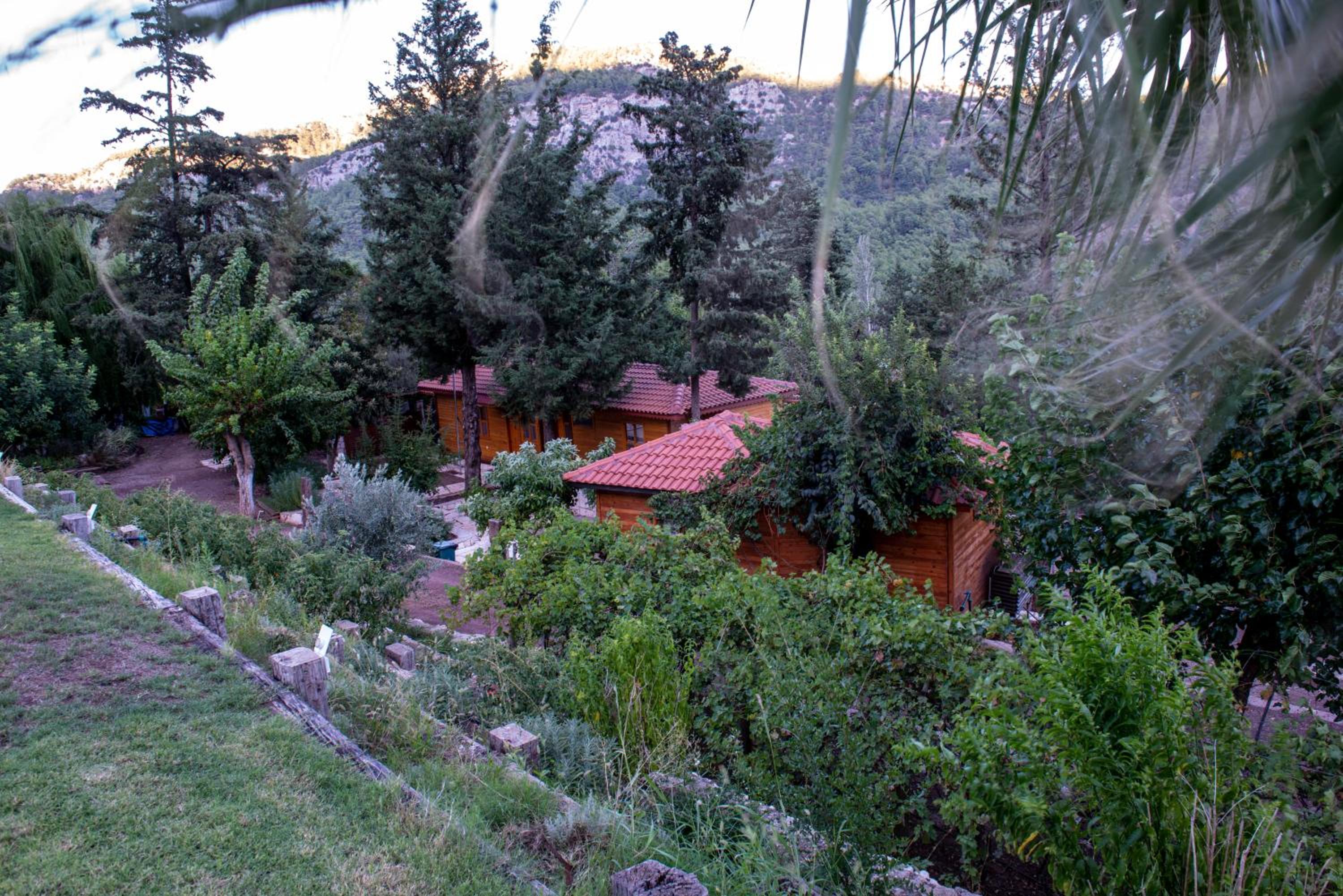 Trinitys Forest Bungalows view 5