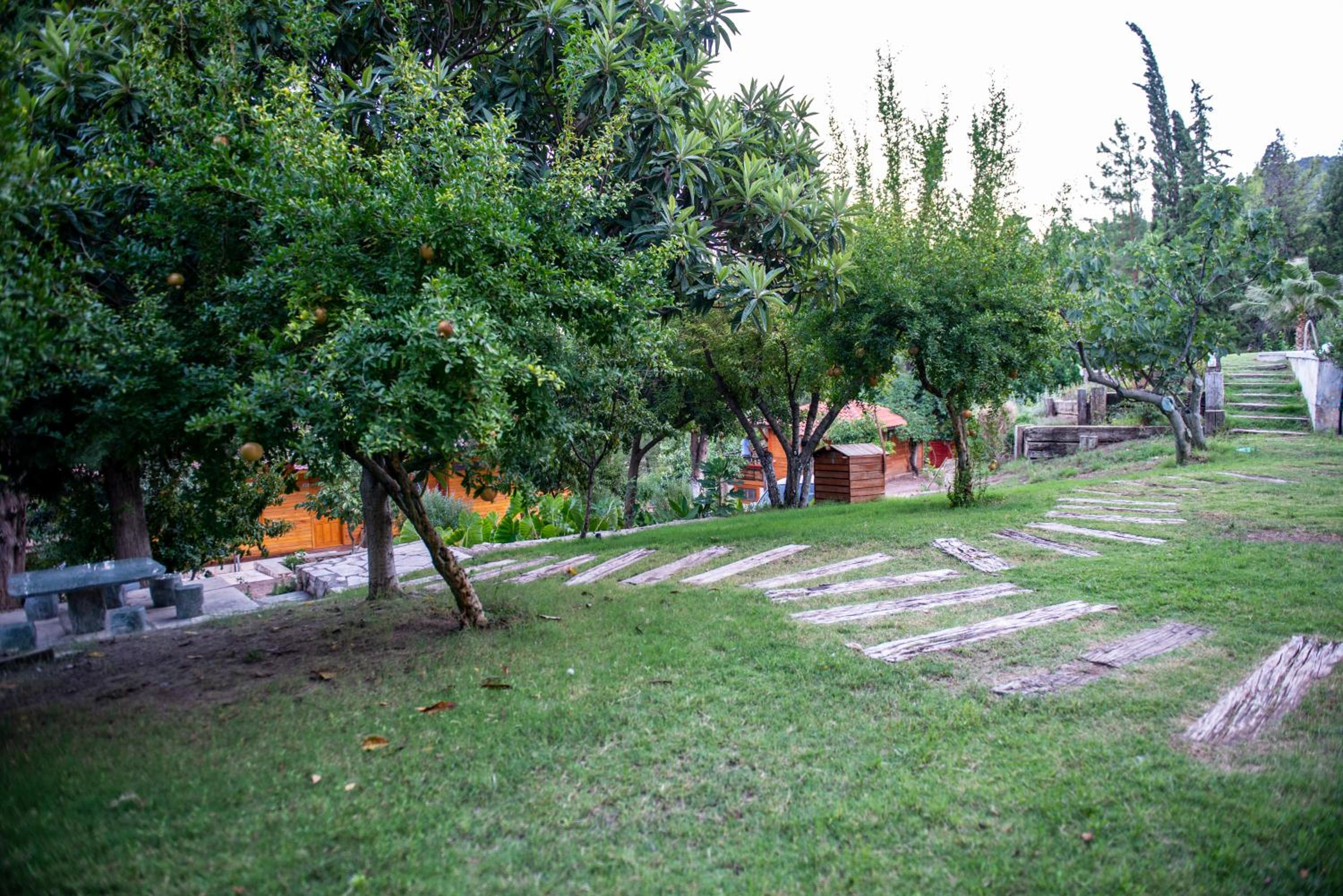 Photo 10