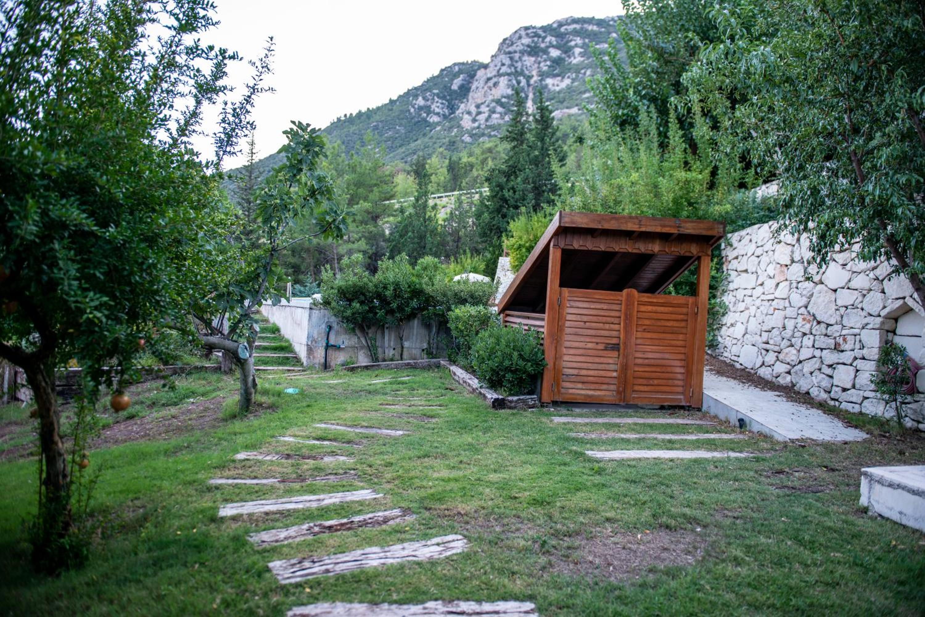 Photo 11