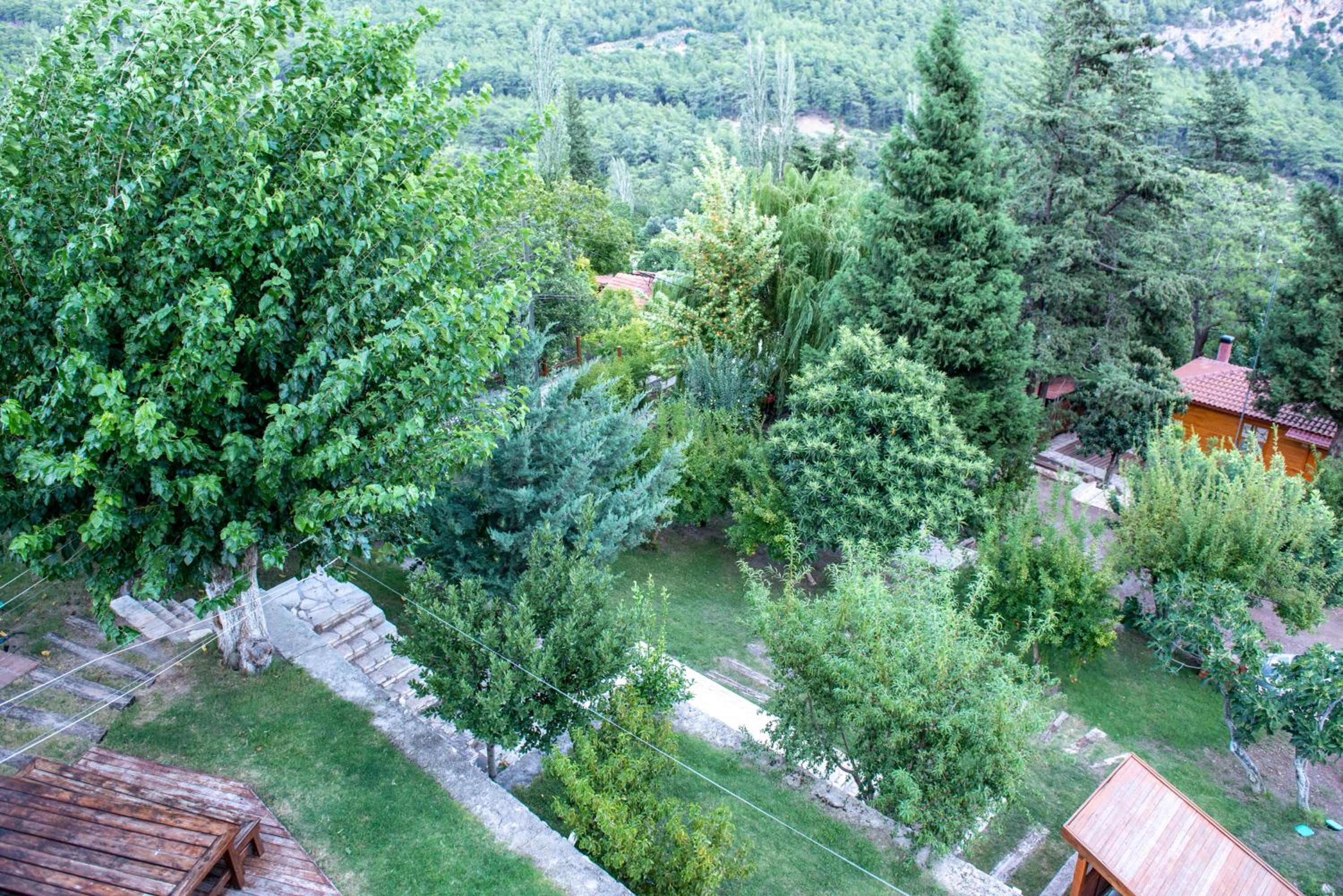Trinitys Forest Bungalows view 4