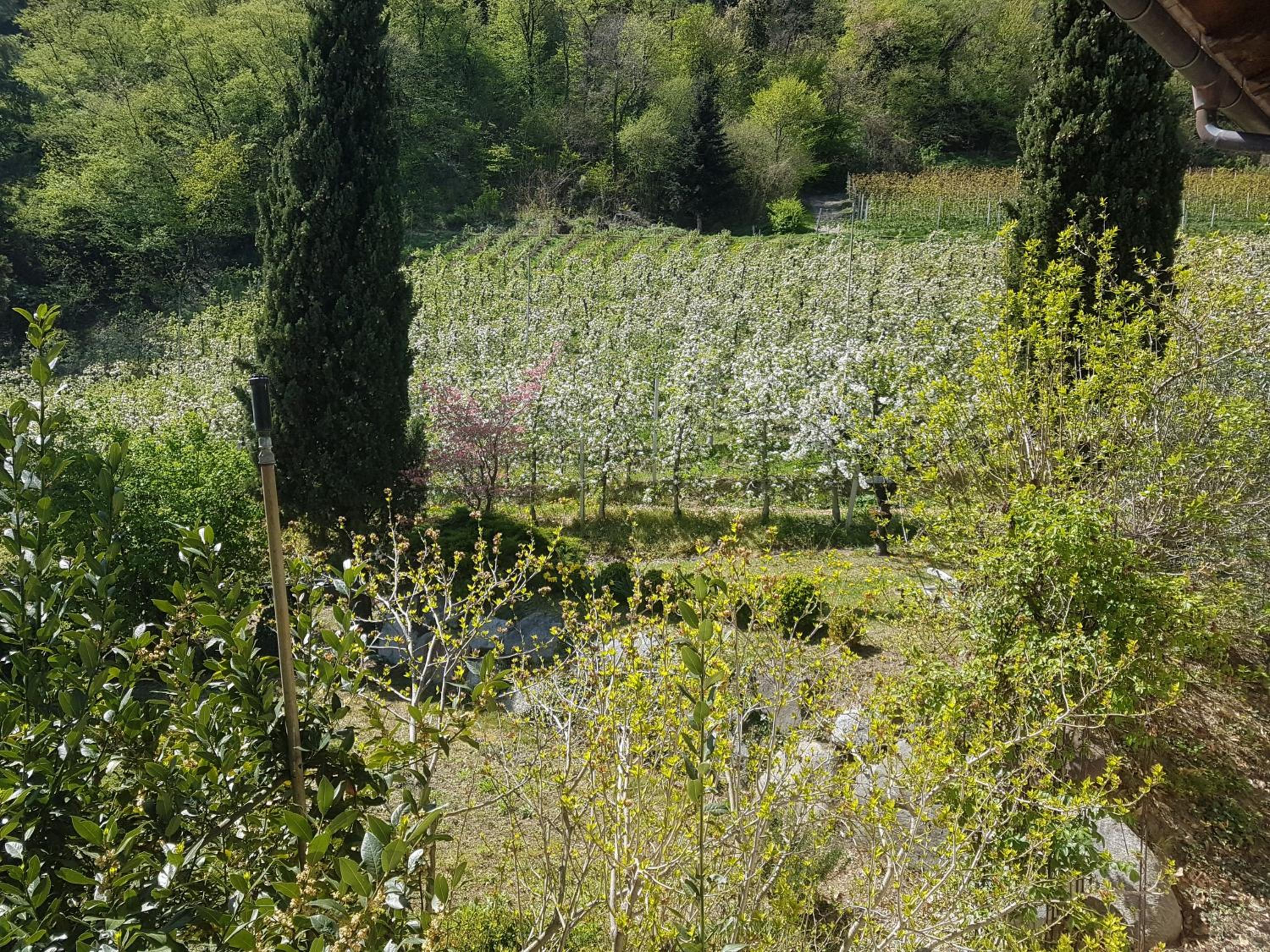 Birkhof