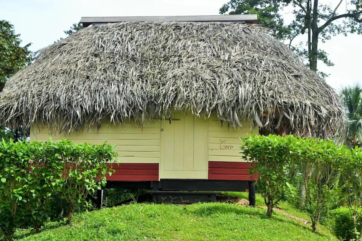 Hotel Nathylodge - Image 1