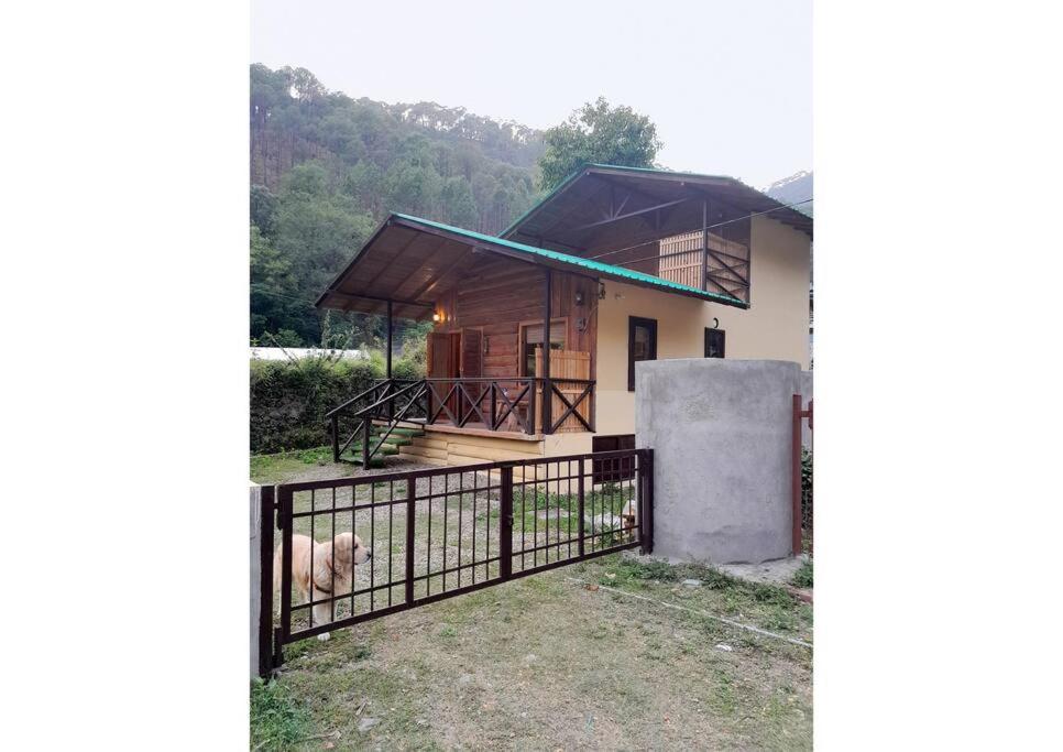 Whistling Thrush Chalet