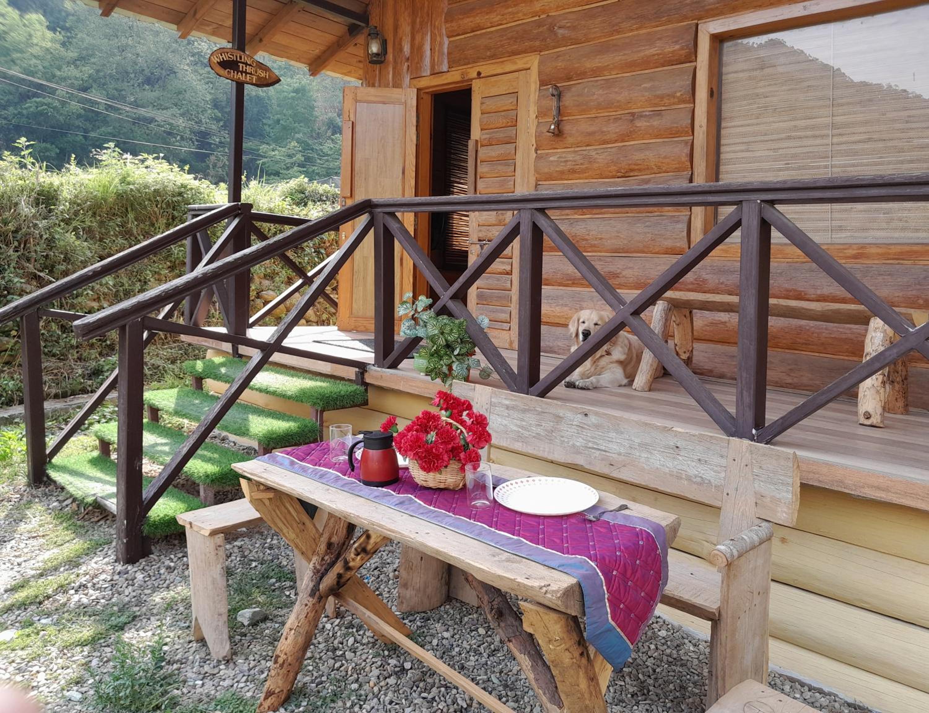 Whistling Thrush Chalet