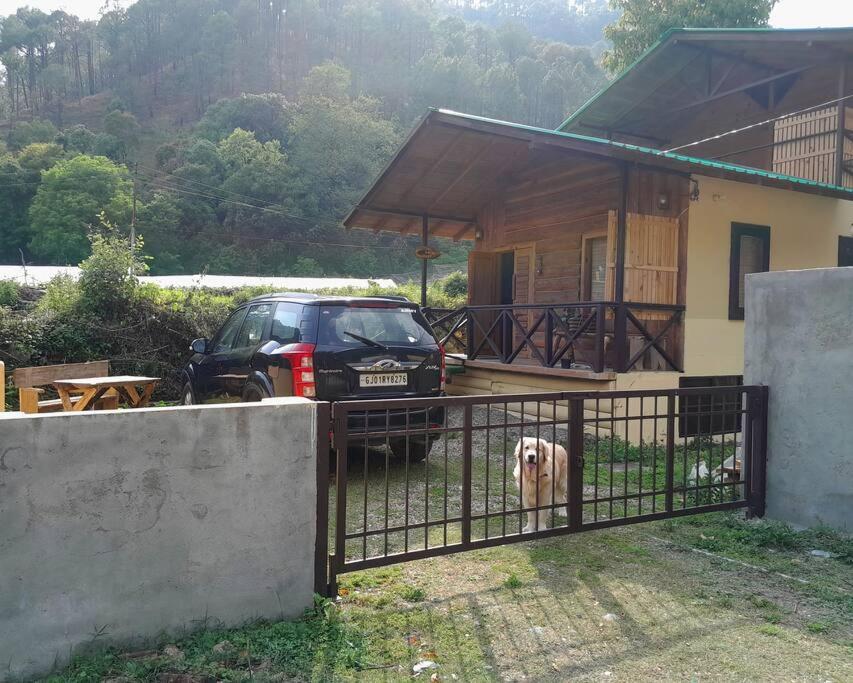 Whistling Thrush Chalet