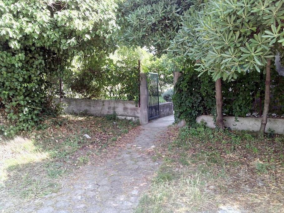 Apartman M&I photo 4