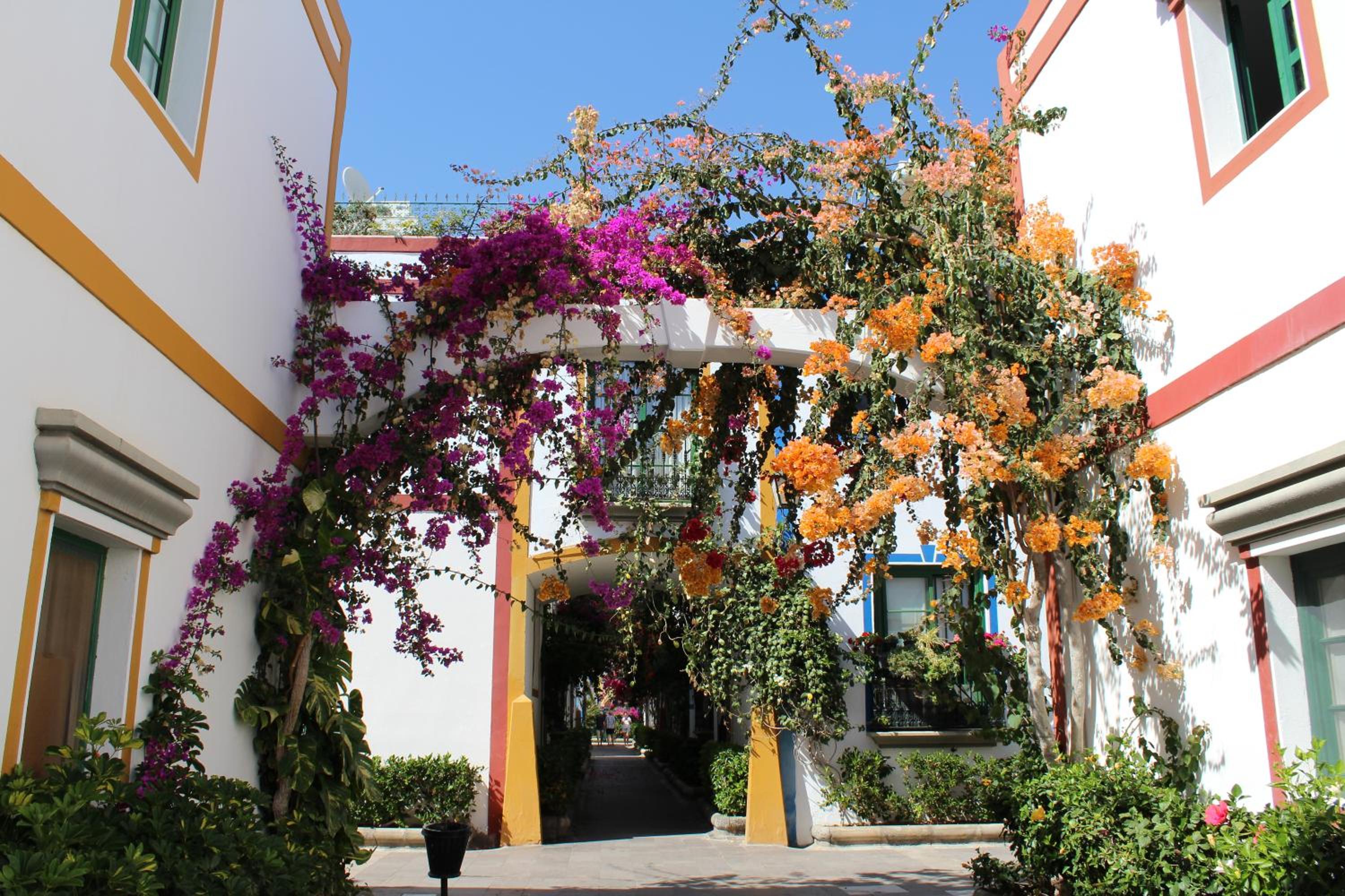 Sunny Puerto de Mogan