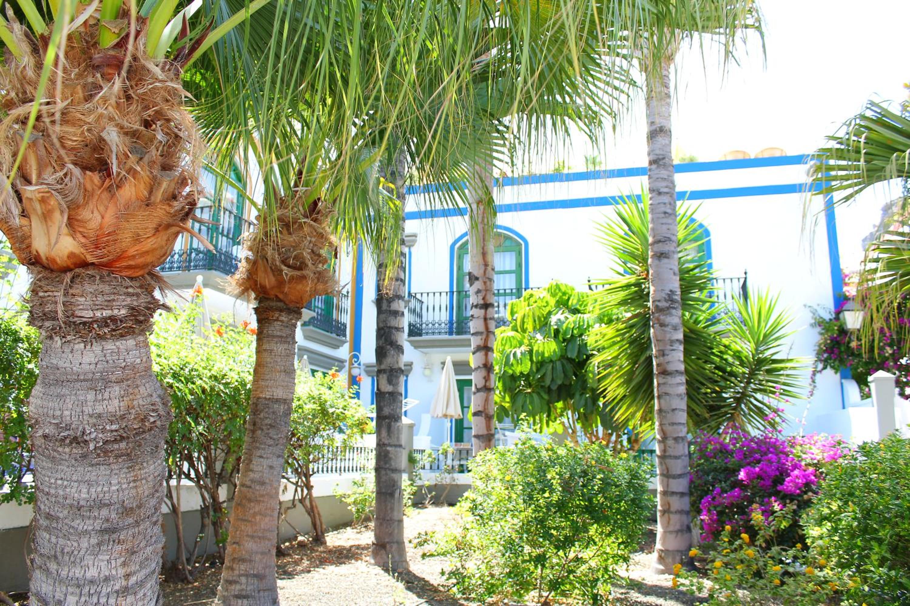 Sunny Puerto de Mogan